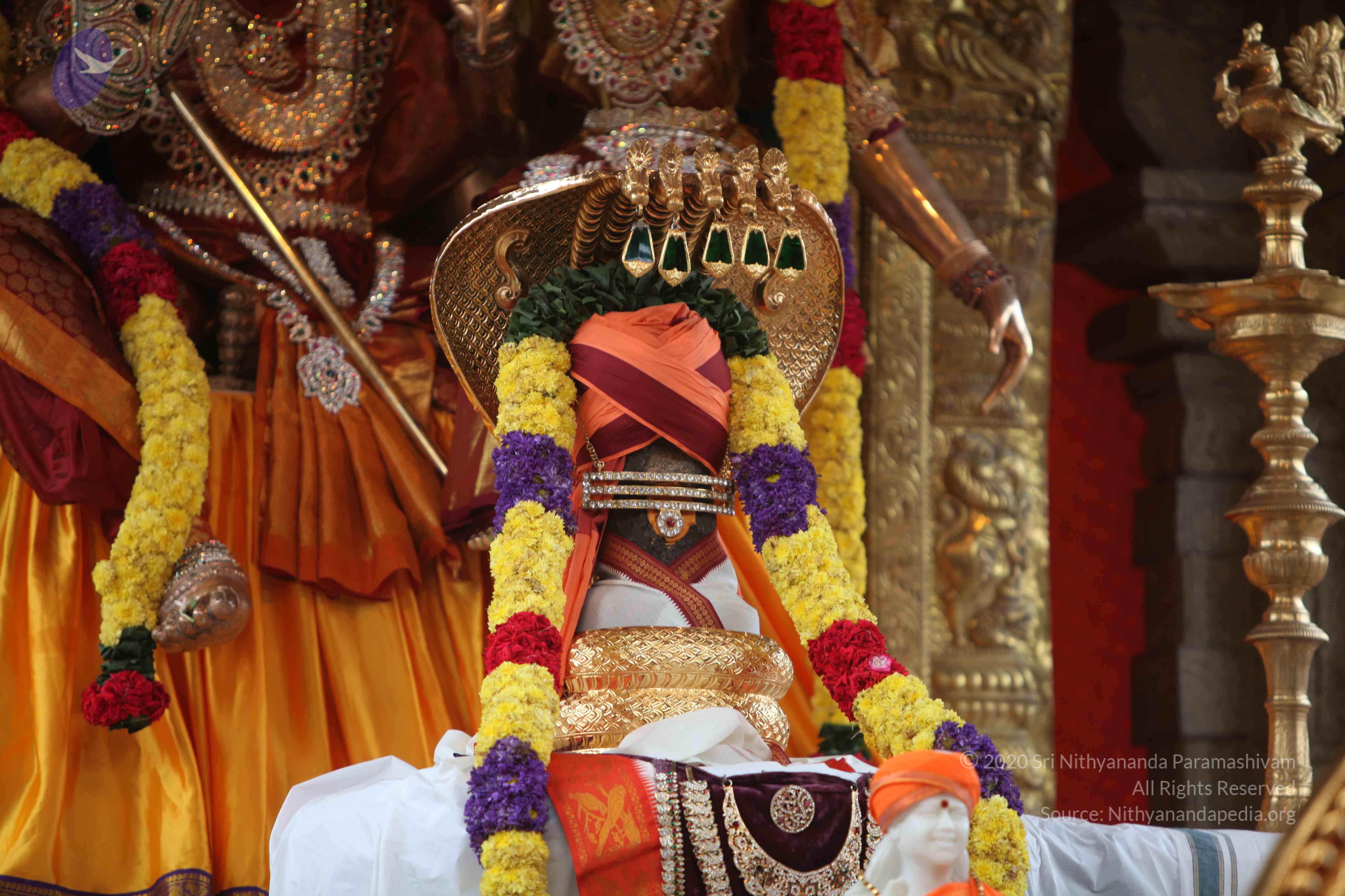 20101103_Photo_1257_IMG_9306_CMP_WM