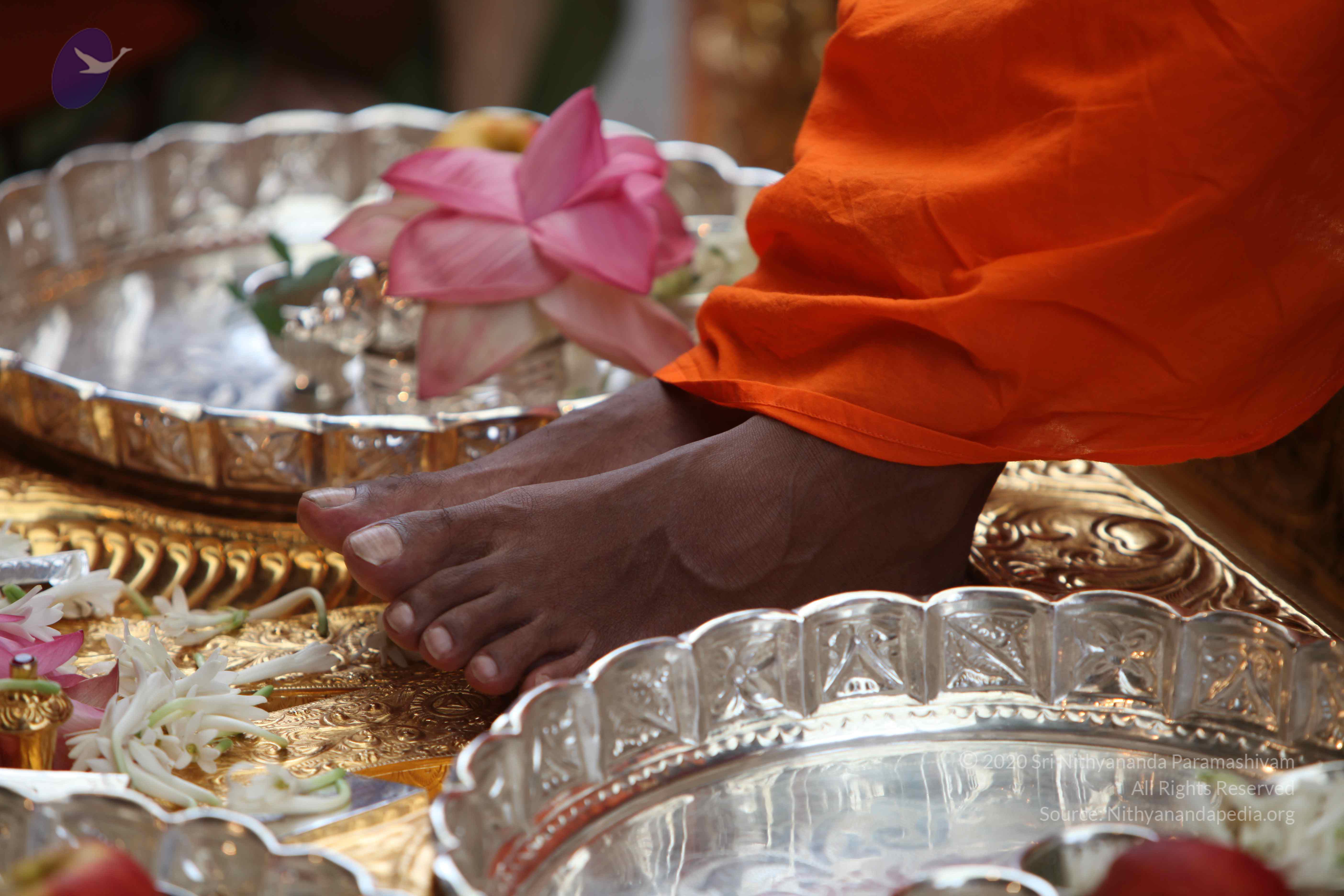 20101103_Photo_1264_IMG_9155_CMP_WM