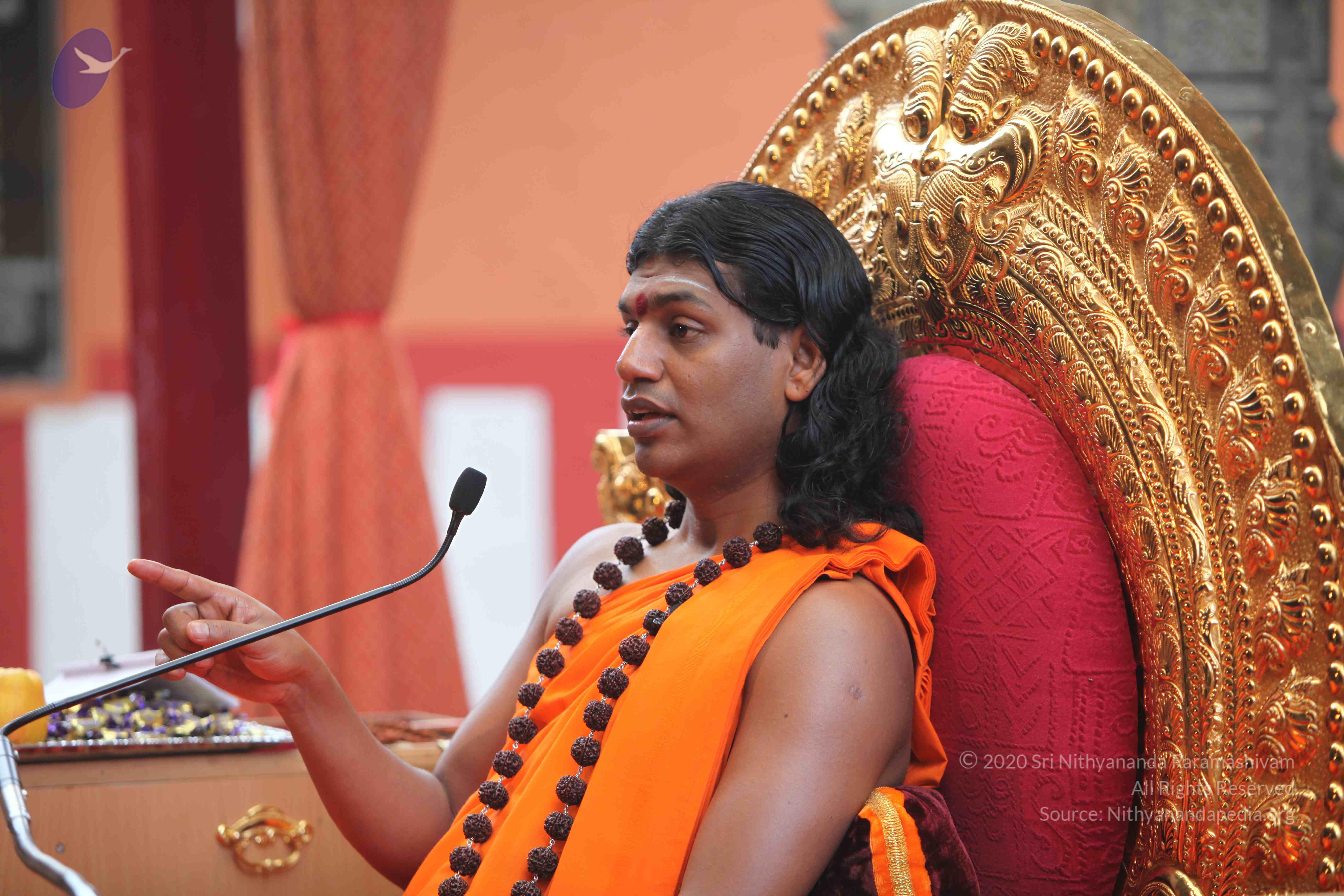 20101103_Photo_1266_IMG_9269_CMP_WM