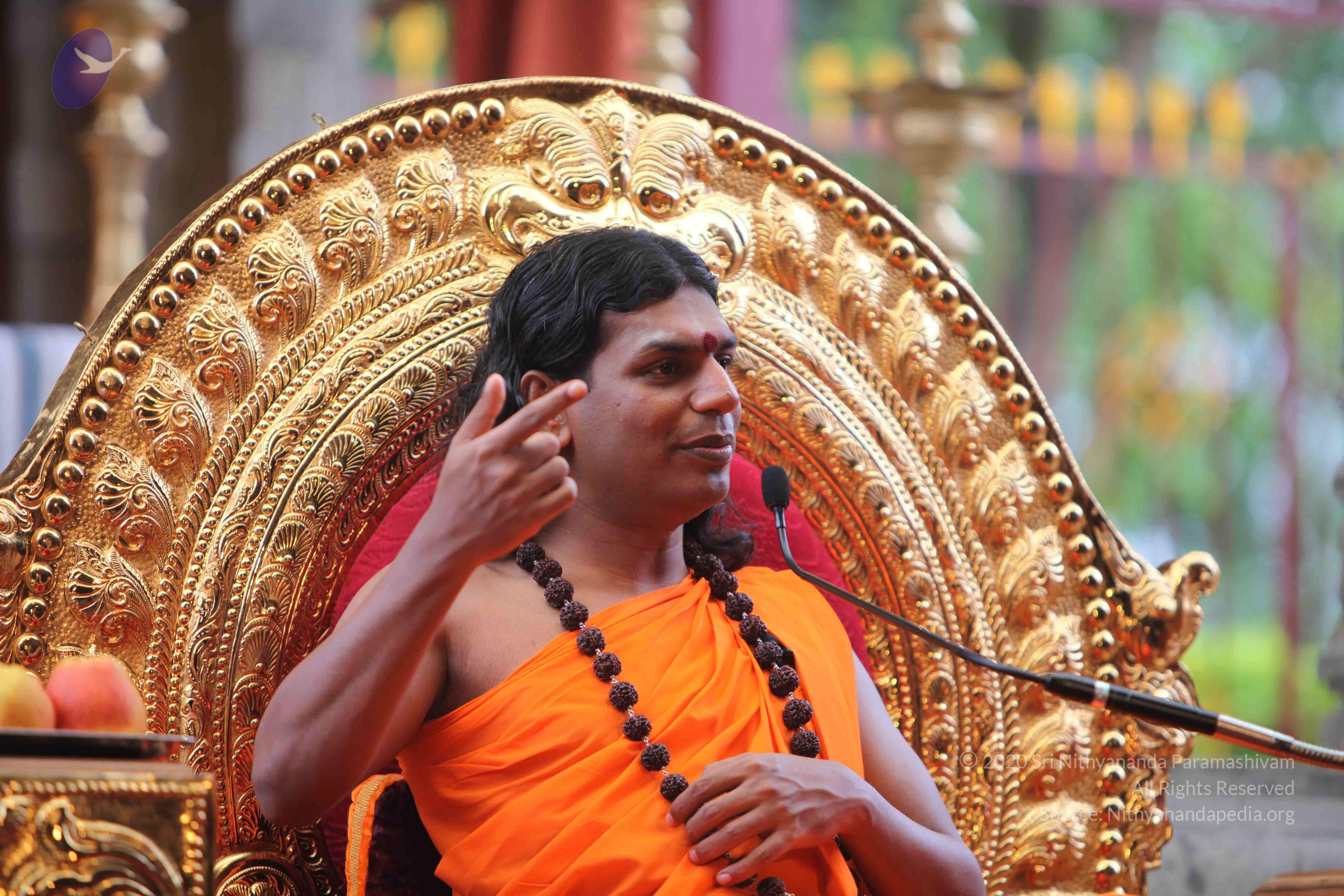 20101103_Photo_1270_IMG_9303_CMP_WM