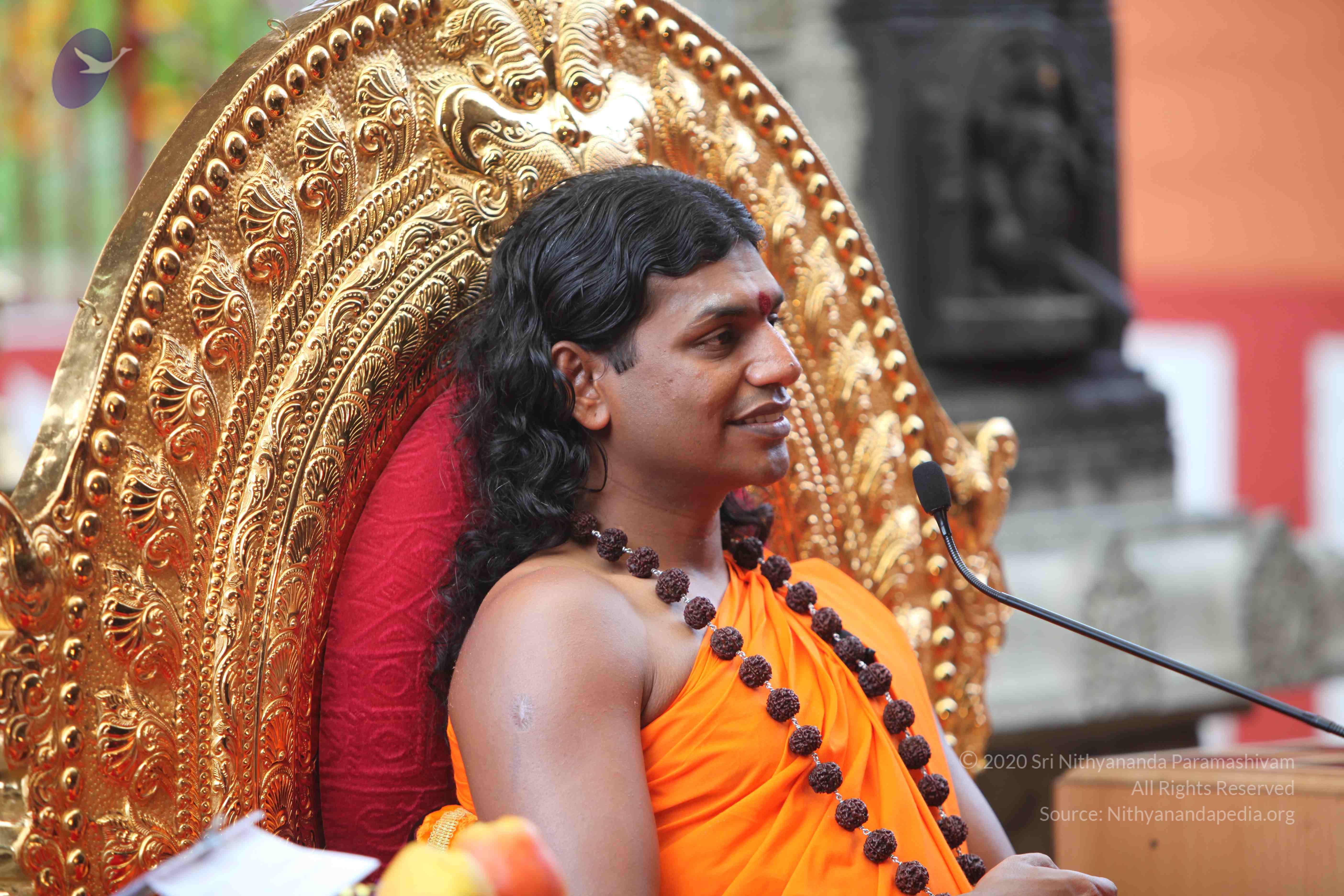 20101103_Photo_1271_IMG_9334_CMP_WM