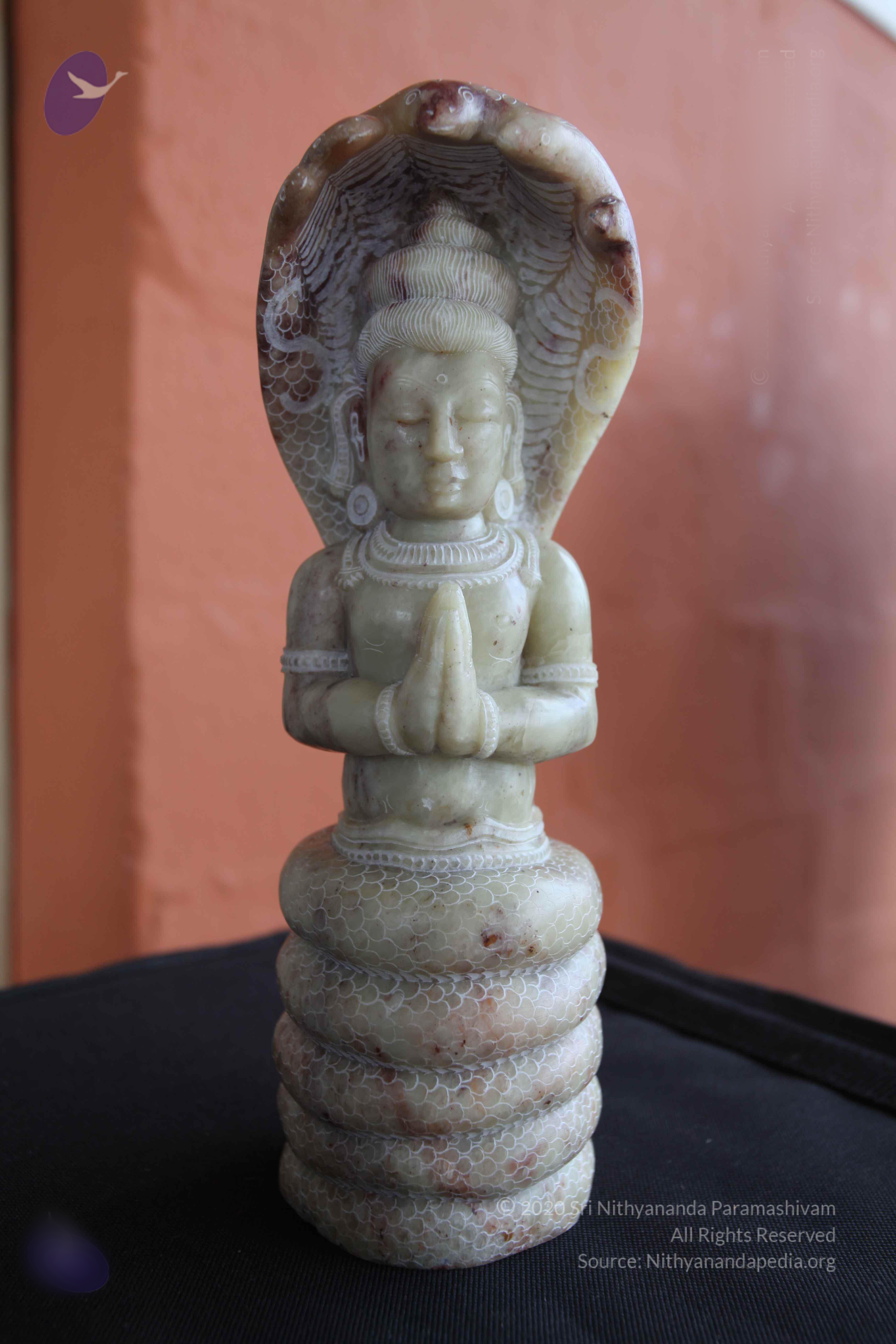 20101103_Photo_1276_IMG_9403_CMP_WM