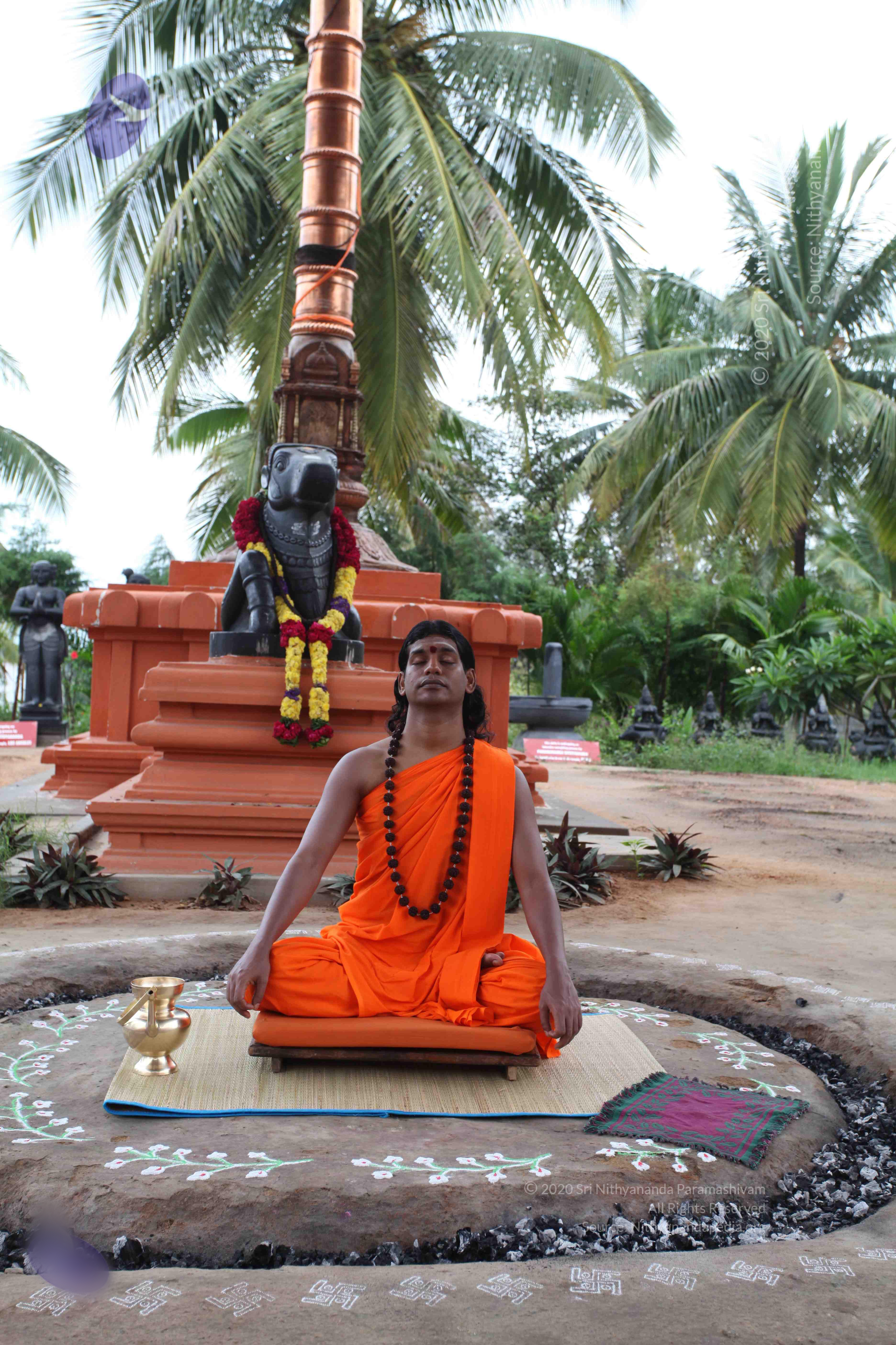 20101103_Photo_1280_IMG_9095_CMP_WM