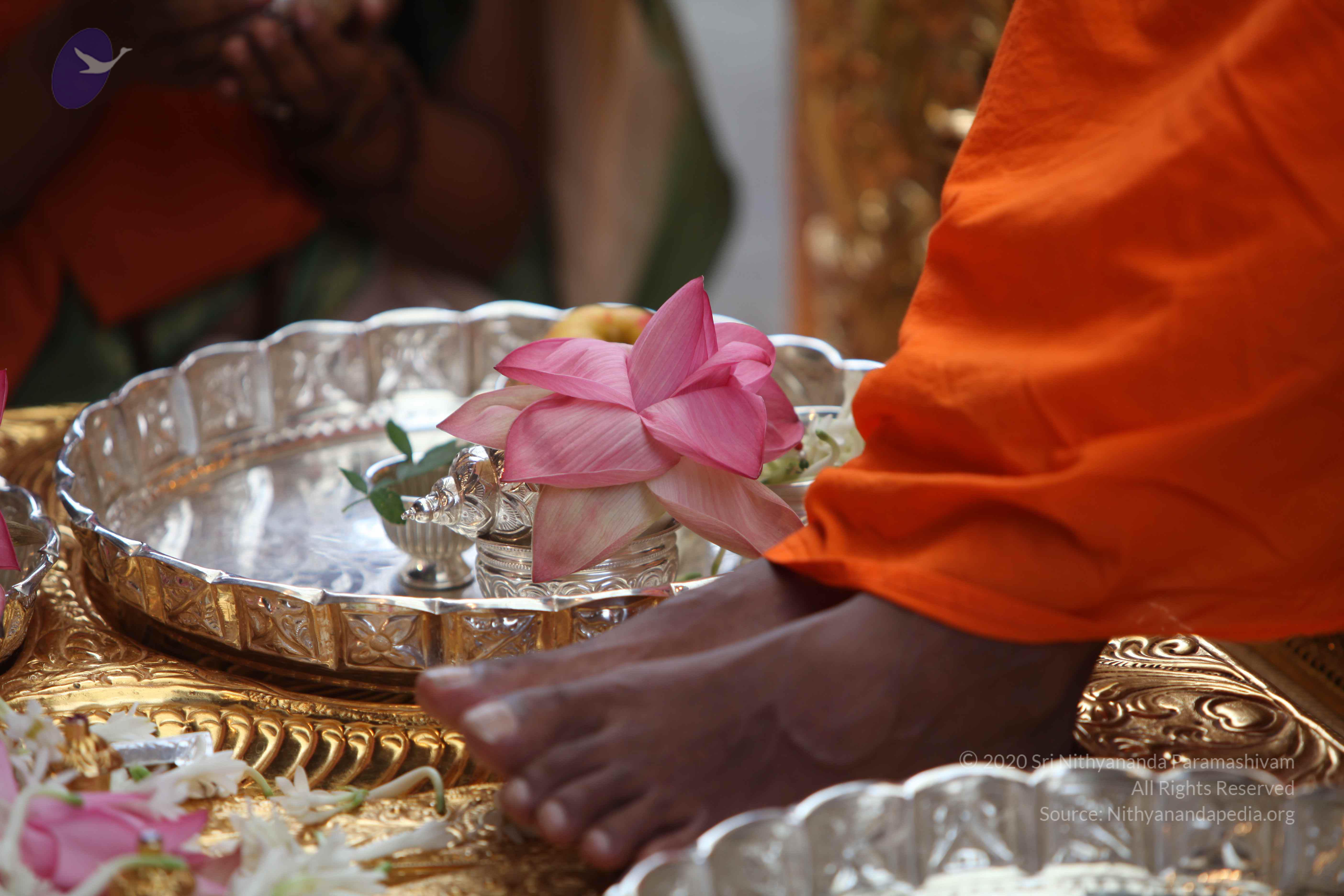 20101103_Photo_1289_IMG_9158_CMP_WM