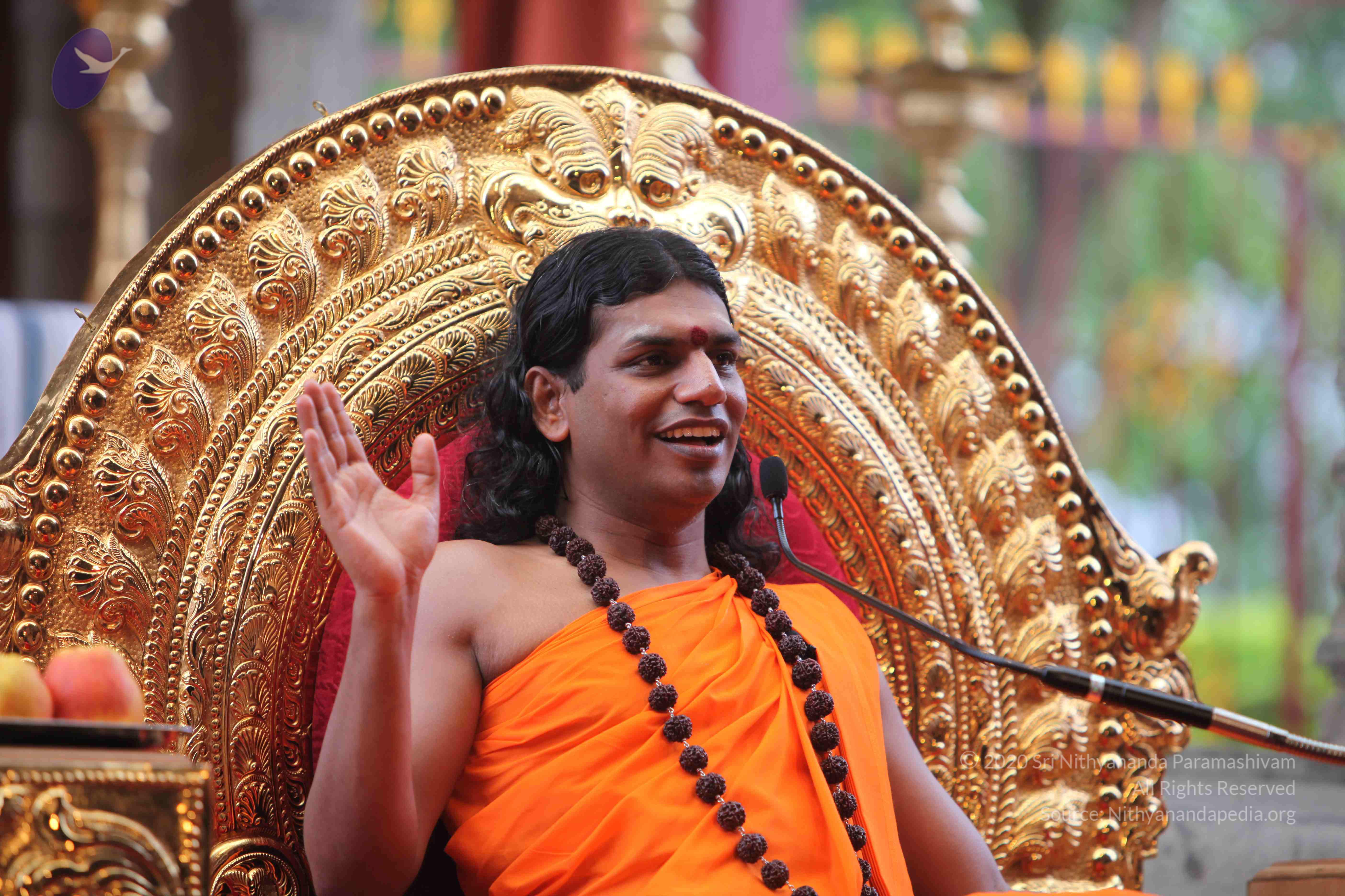 20101103_Photo_1290_IMG_9312_CMP_WM