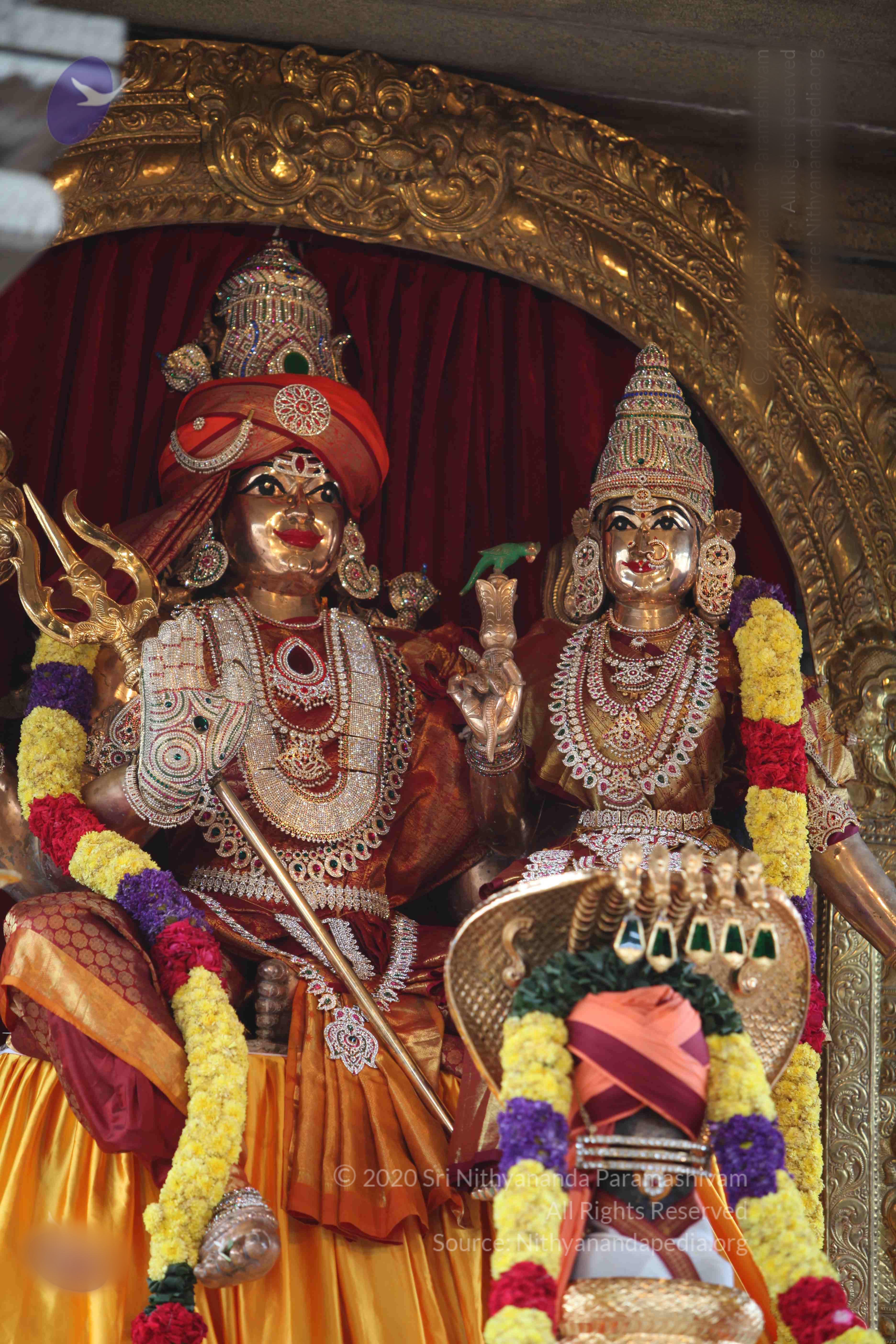 20101103_Photo_1292_IMG_9287_CMP_WM