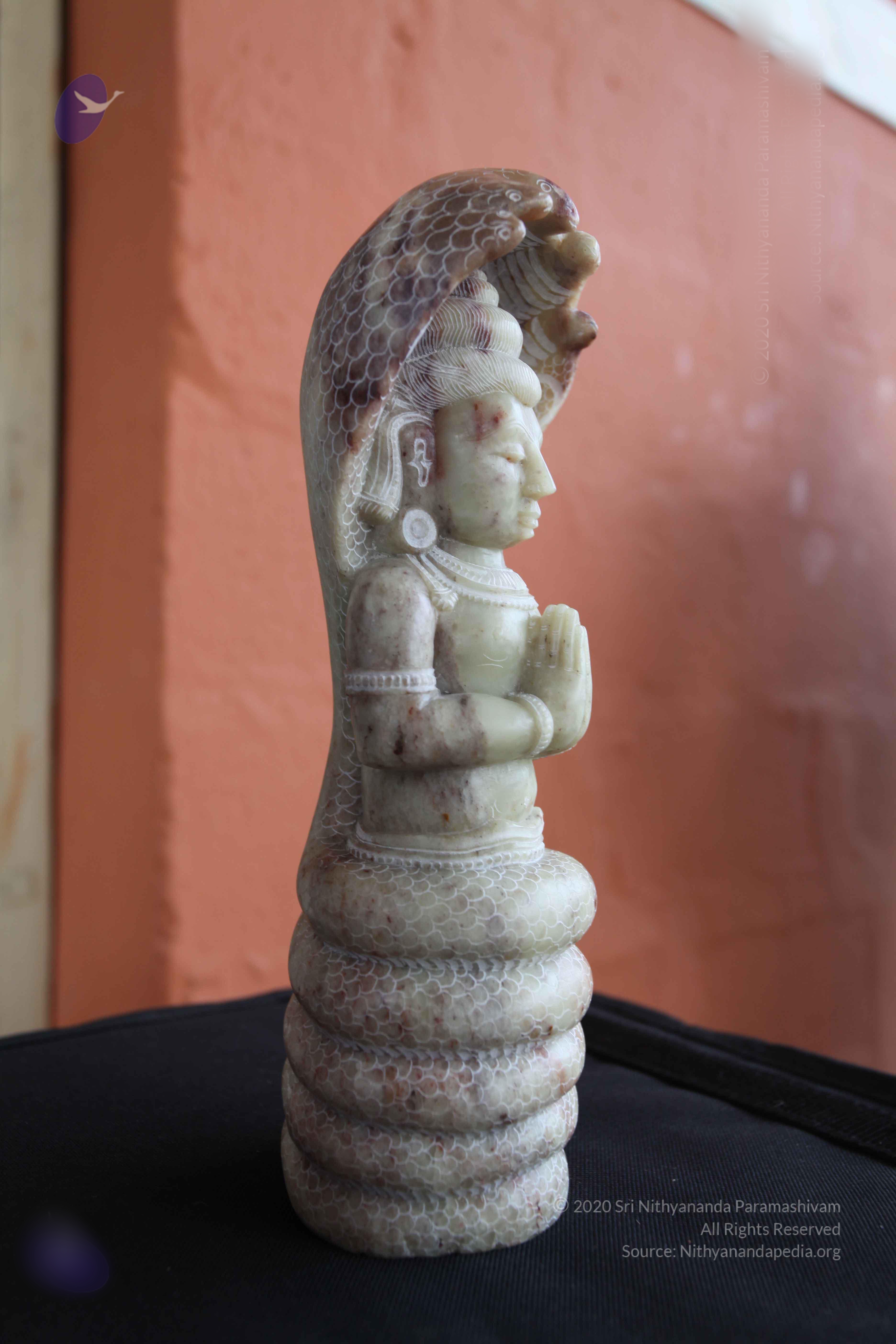 20101103_Photo_1293_IMG_9393_CMP_WM