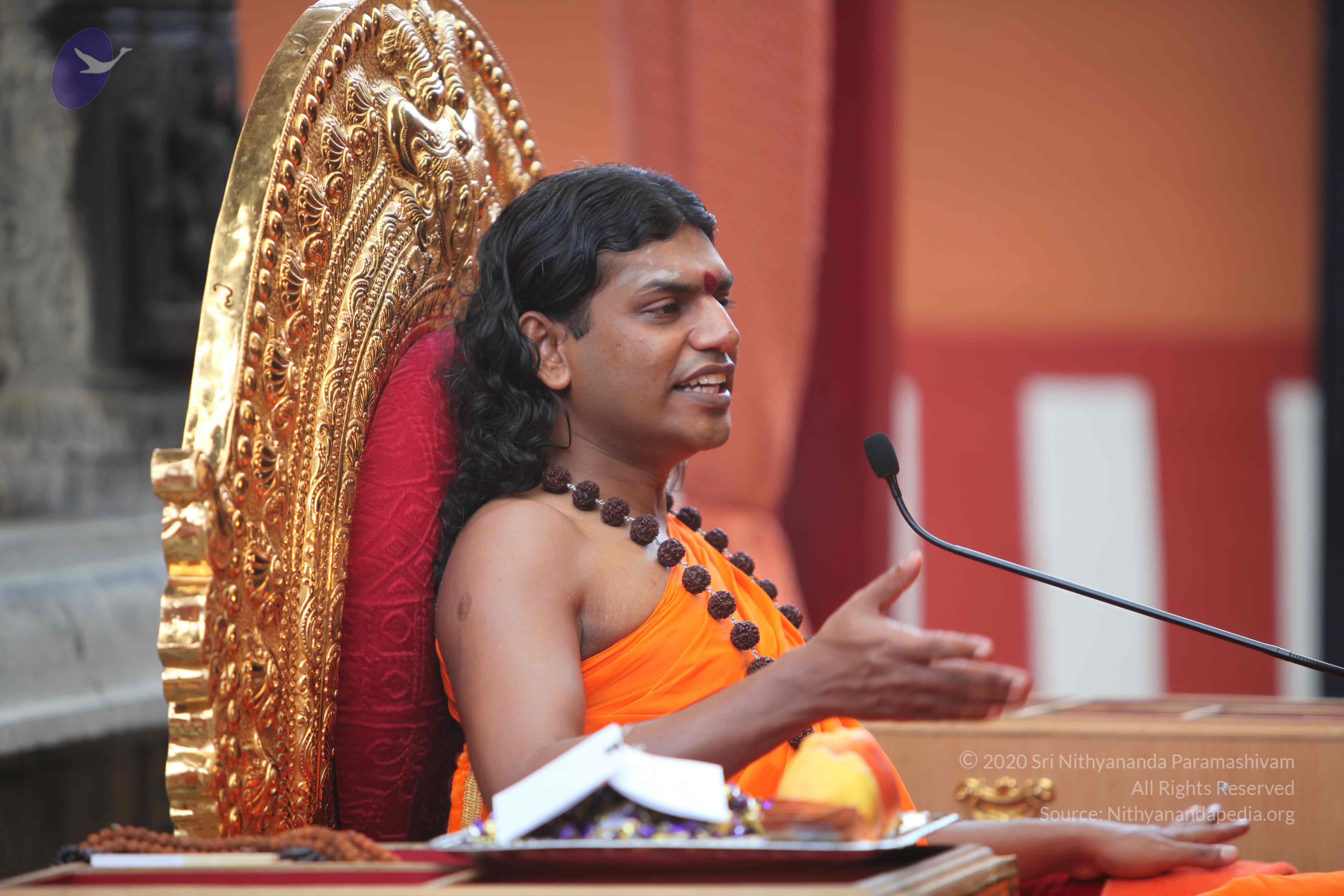 20101103_Photo_1296_IMG_9278_CMP_WM