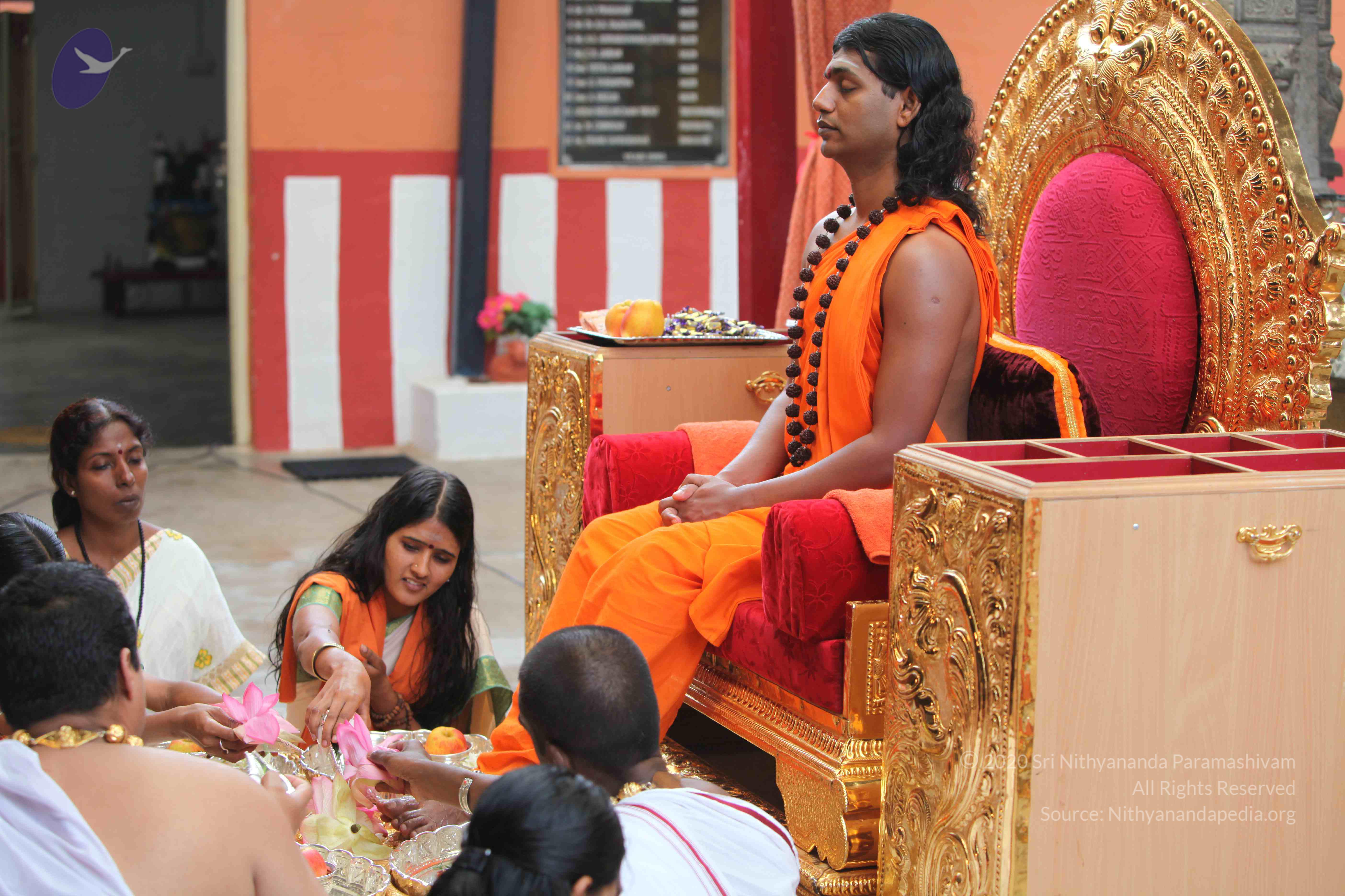 20101103_Photo_1297_IMG_9173_CMP_WM