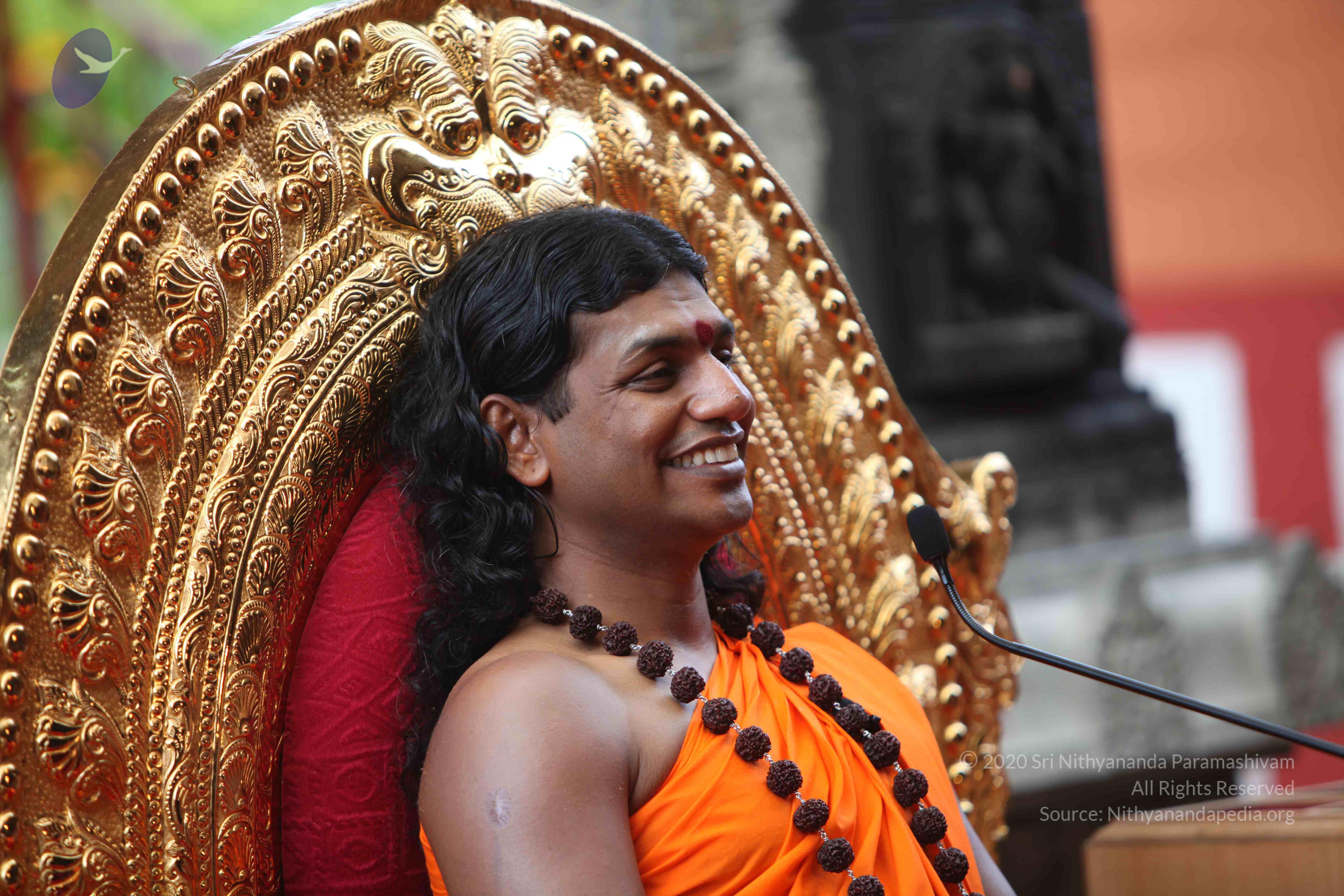 20101103_Photo_1298_IMG_9339_CMP_WM