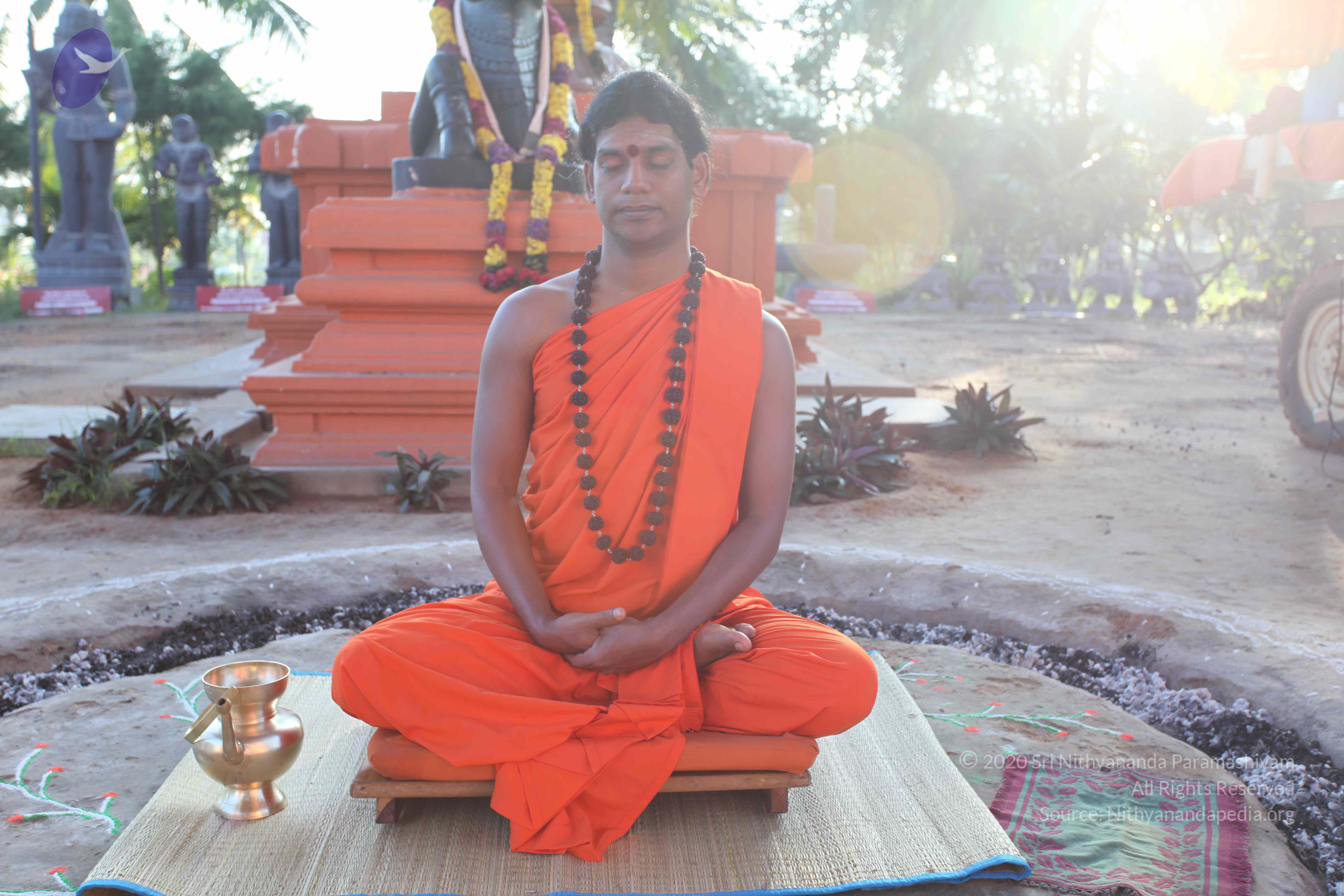 20101119_Photo_1002_IMG_8827_CMP_WM