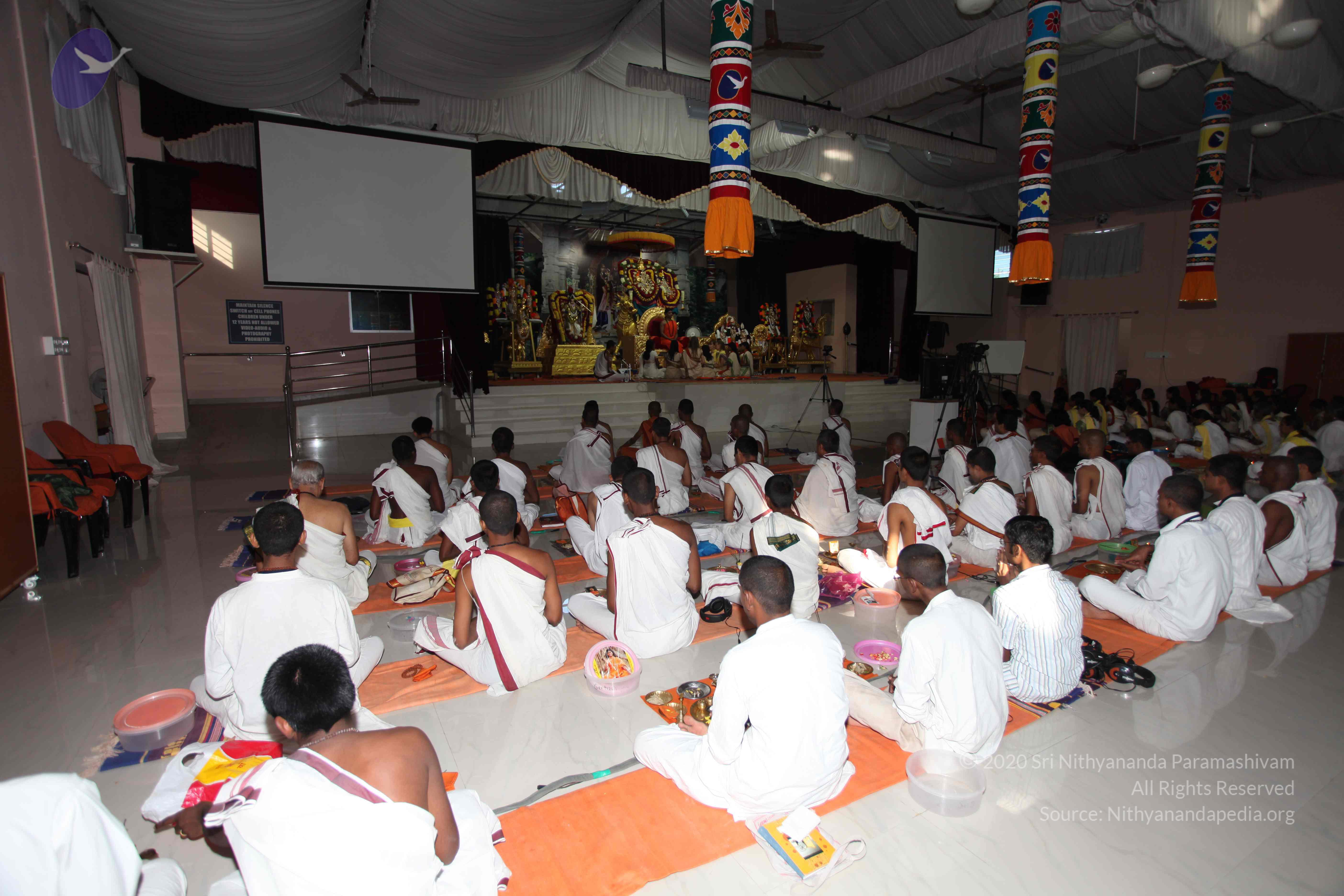 20101119_Photo_1004_IMG_8872_CMP_WM