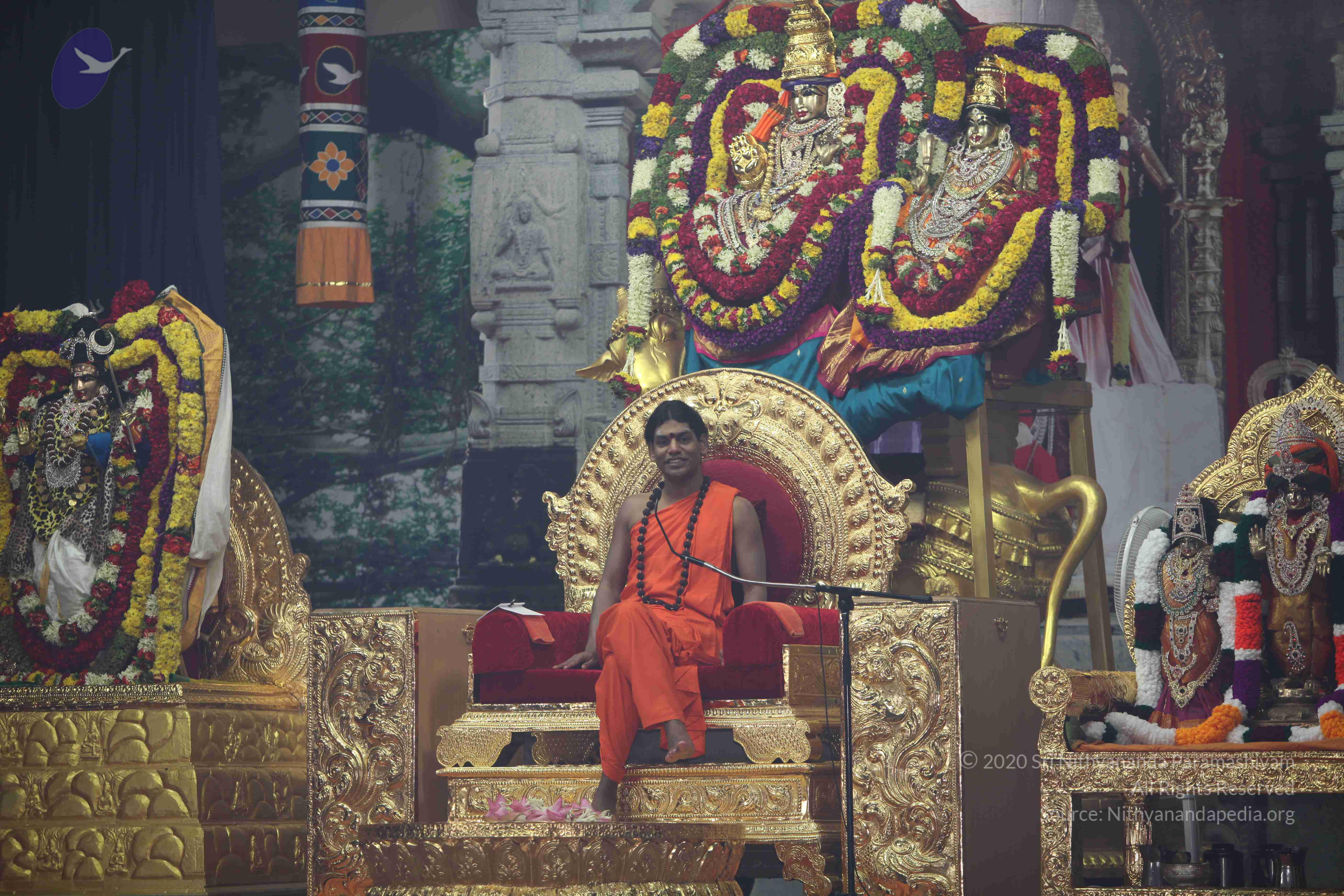 20101119_Photo_1010_IMG_8994_CMP_WM