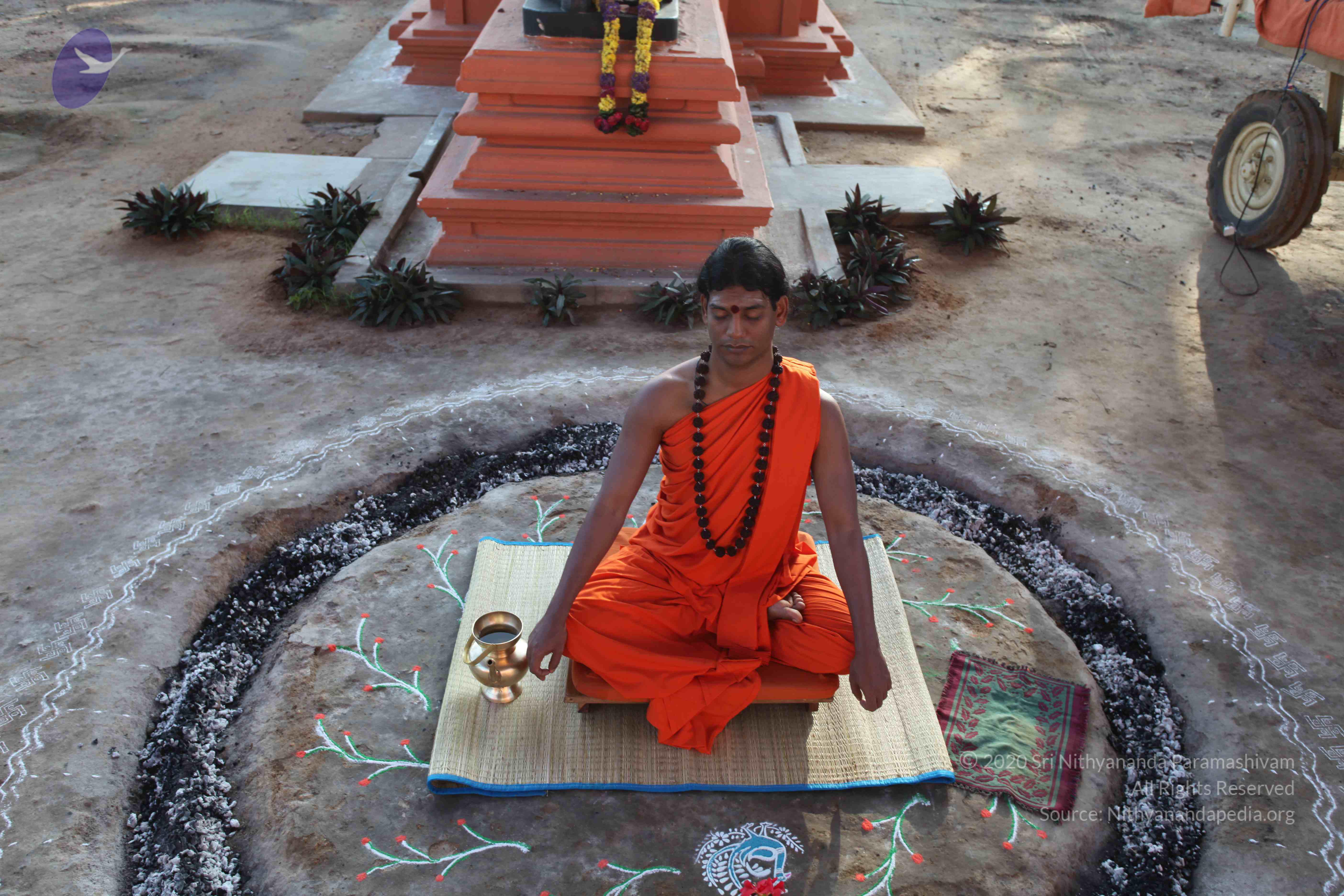 20101119_Photo_1011_IMG_8848_CMP_WM