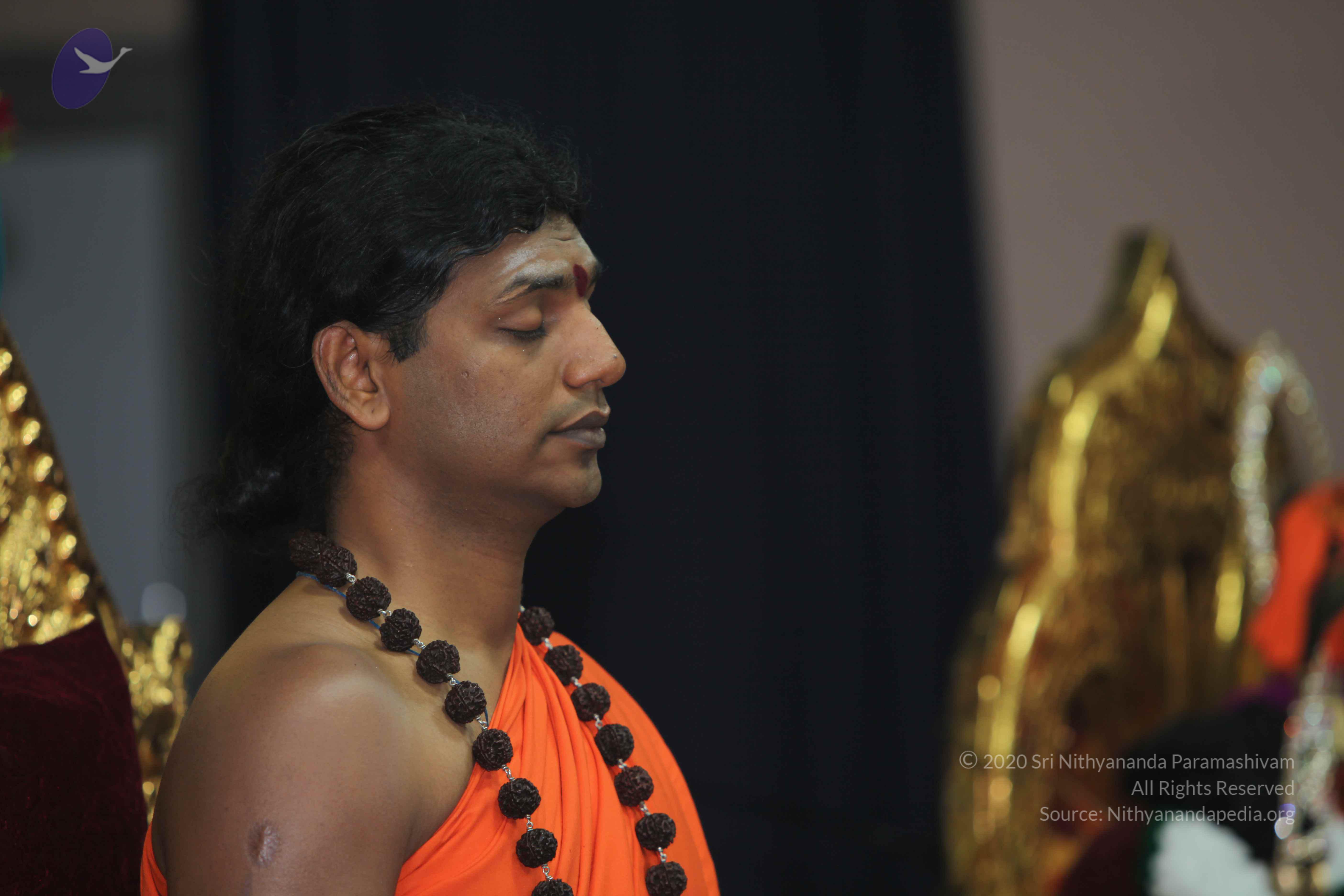 20101119_Photo_1015_IMG_8922_CMP_WM