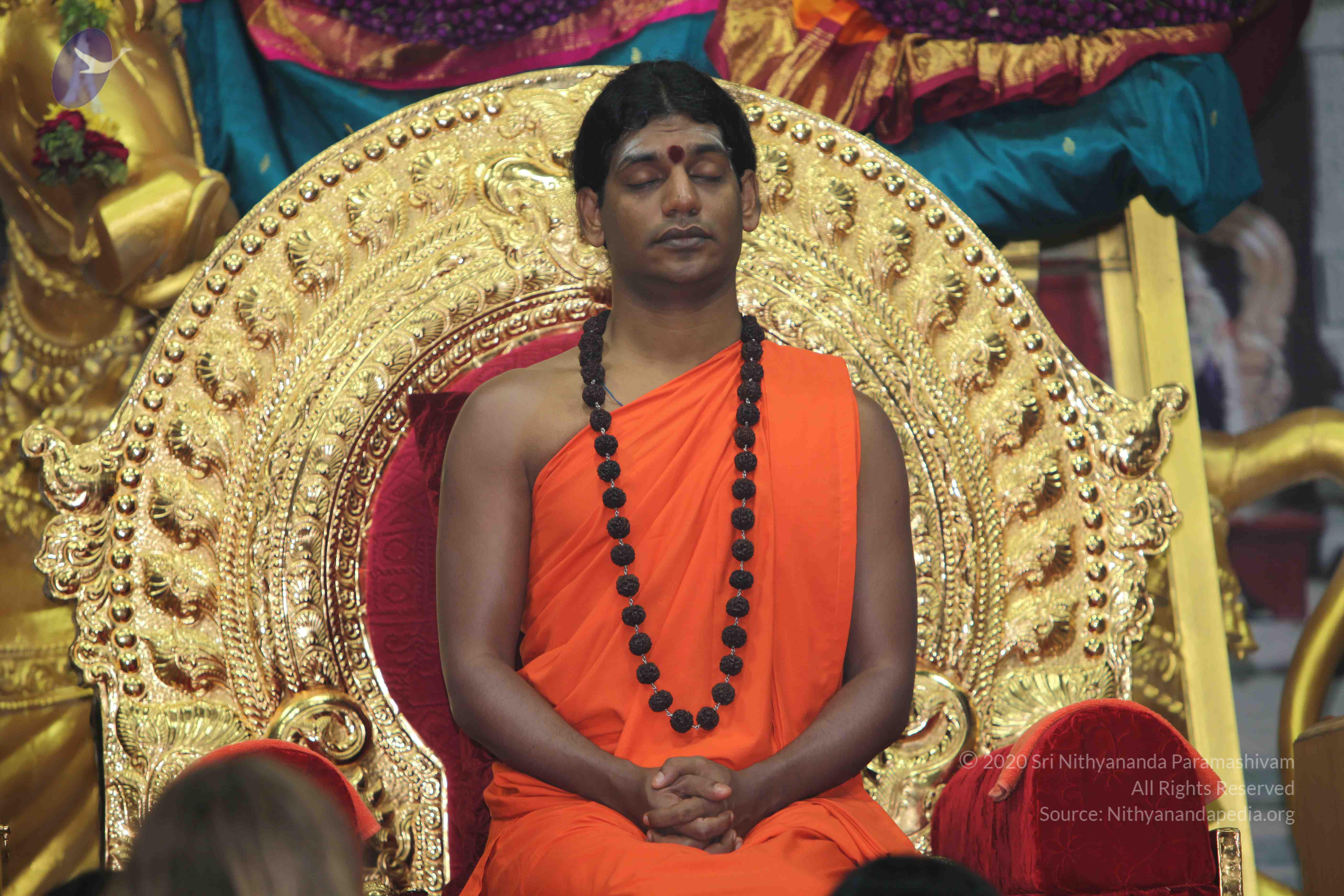 20101119_Photo_1016_IMG_8915_CMP_WM