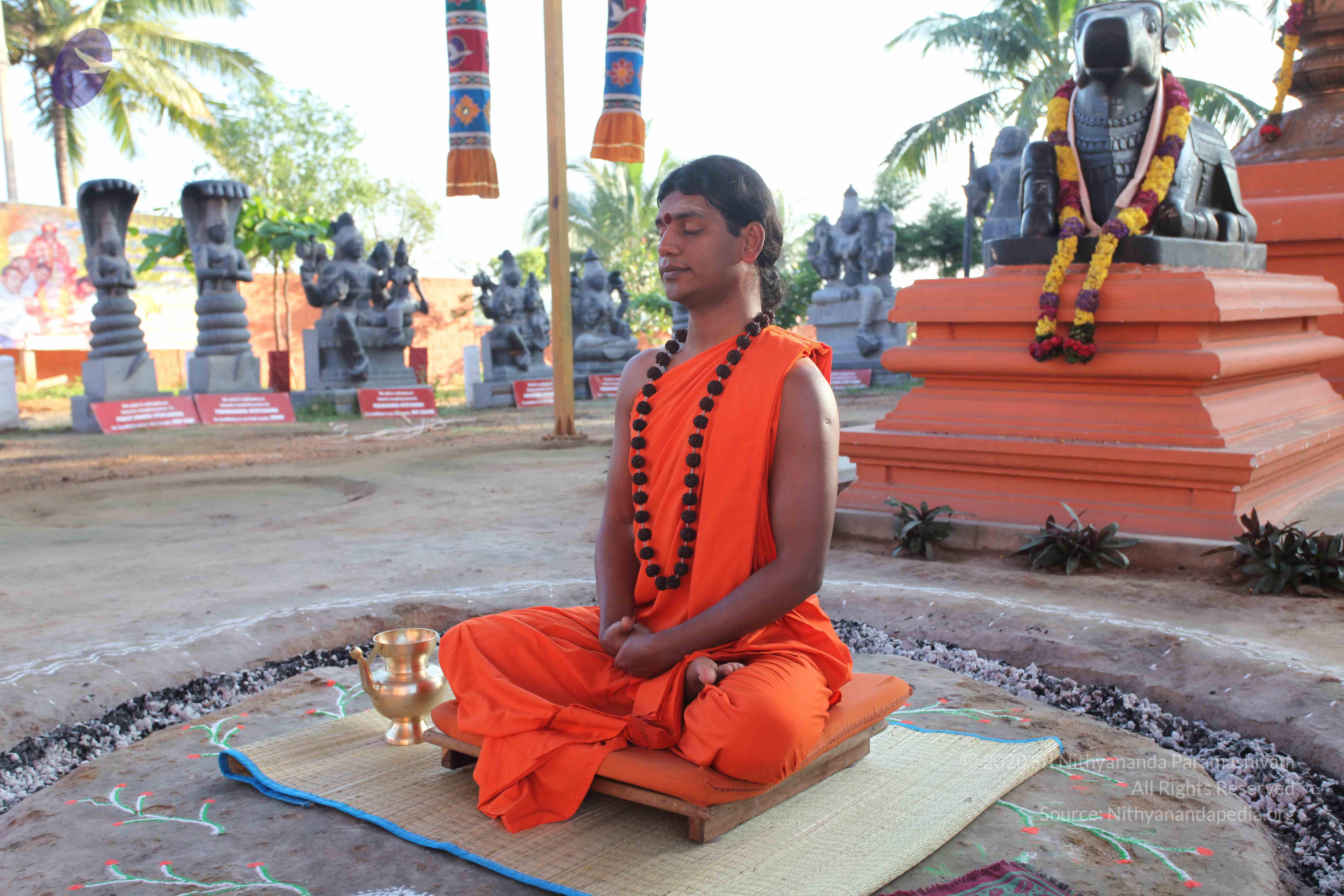 20101119_Photo_1017_IMG_8818_CMP_WM