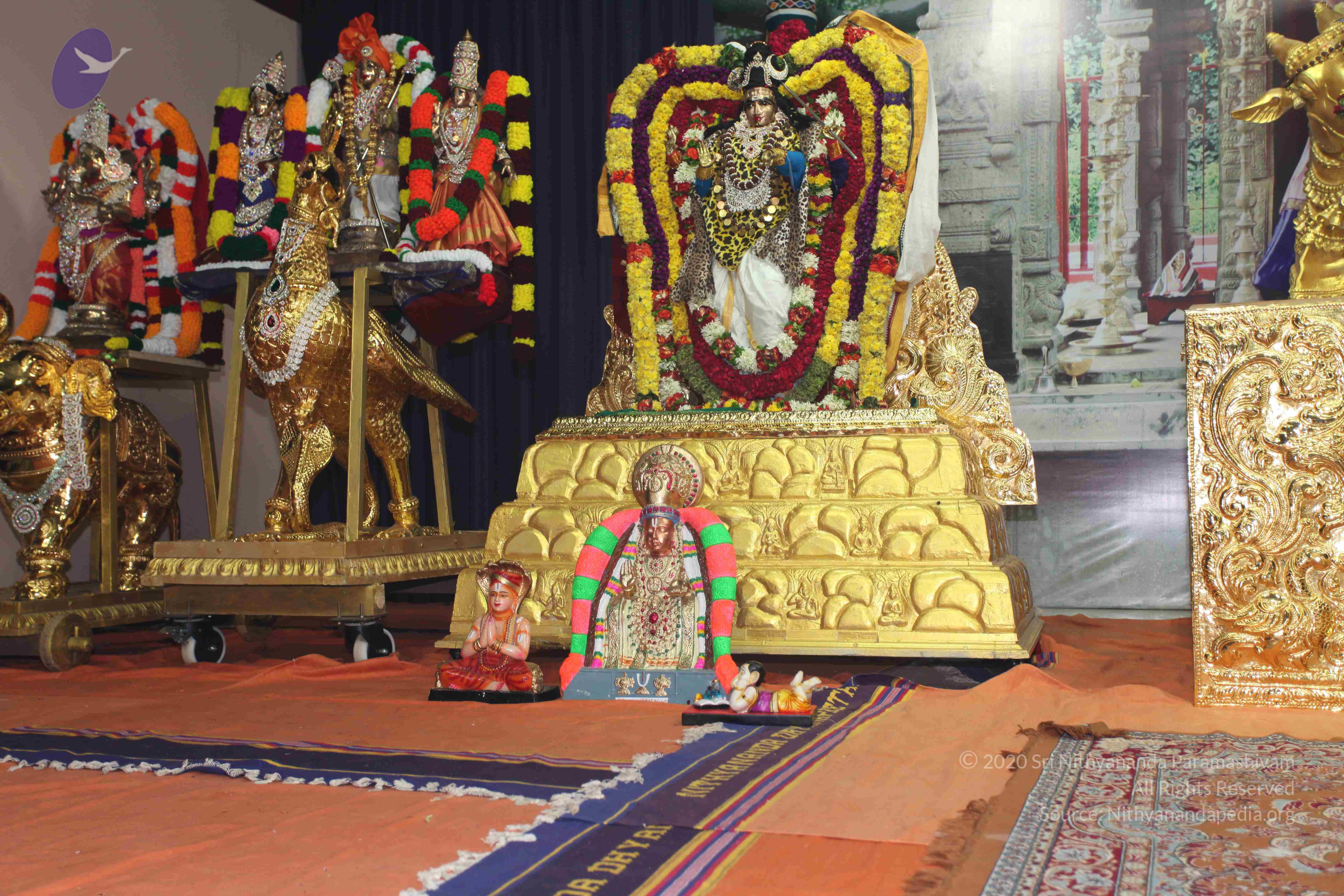 20101119_Photo_1019_IMG_9034_CMP_WM