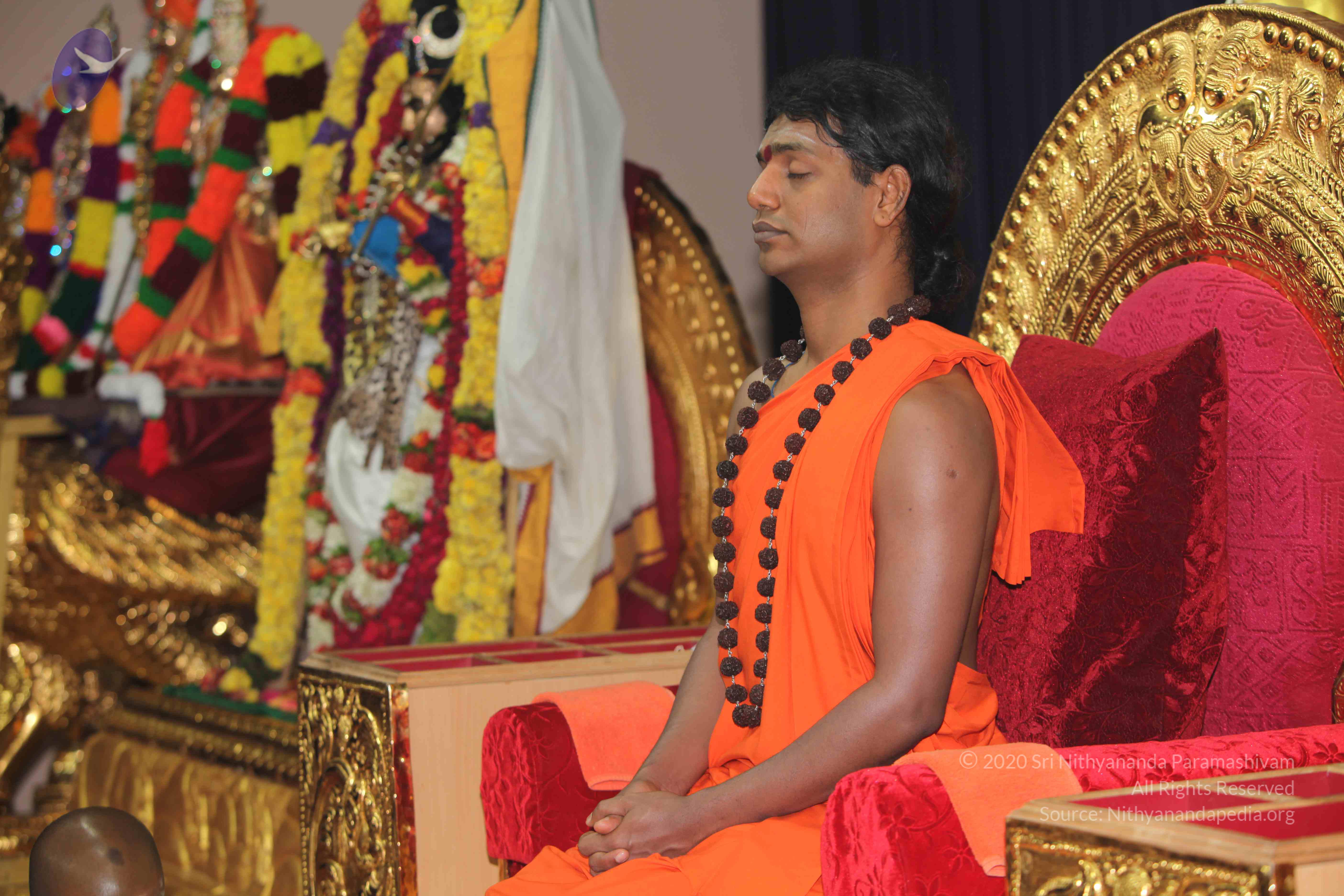 20101119_Photo_1020_IMG_8885_CMP_WM