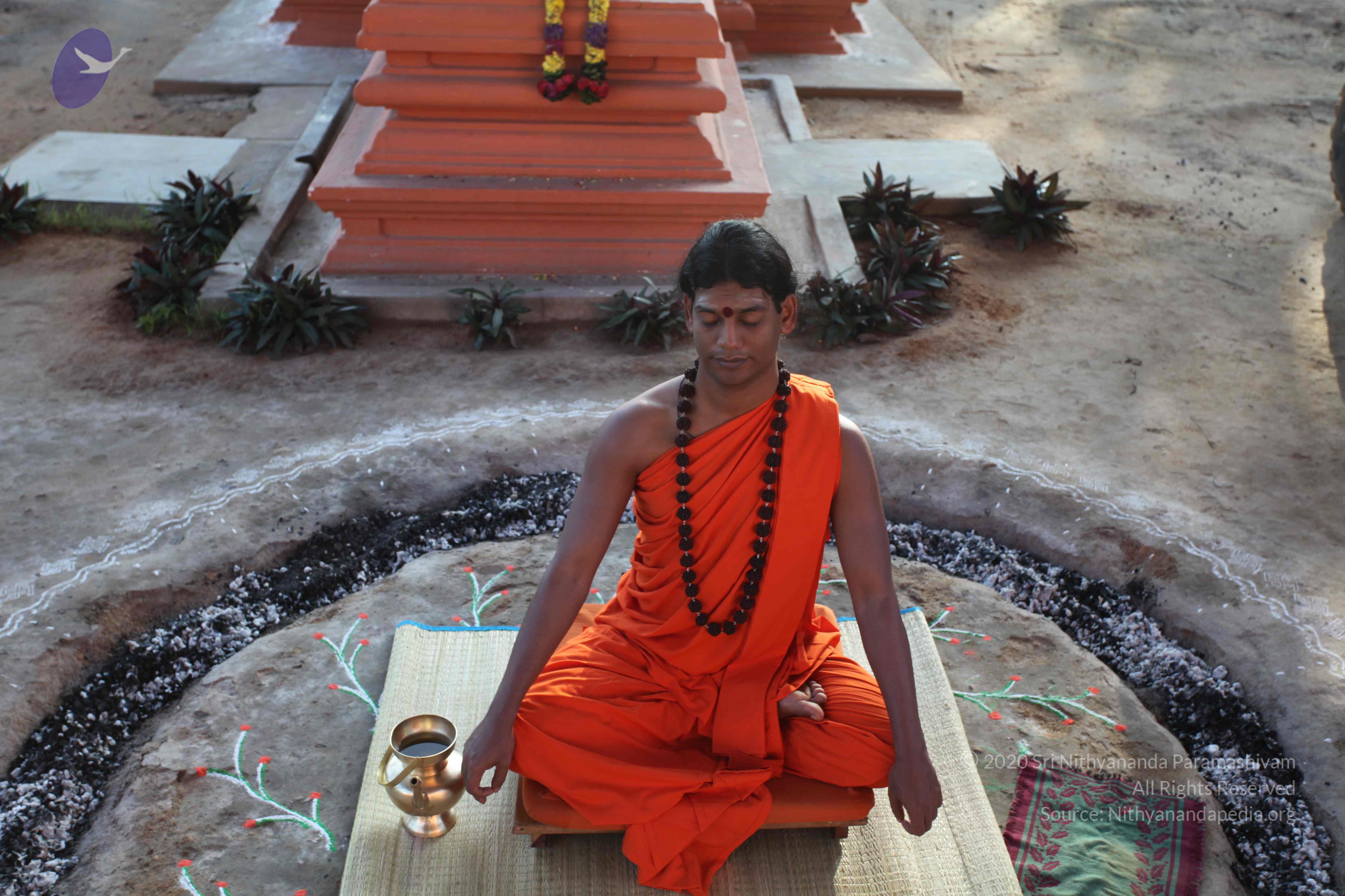 20101119_Photo_1024_IMG_8851_CMP_WM