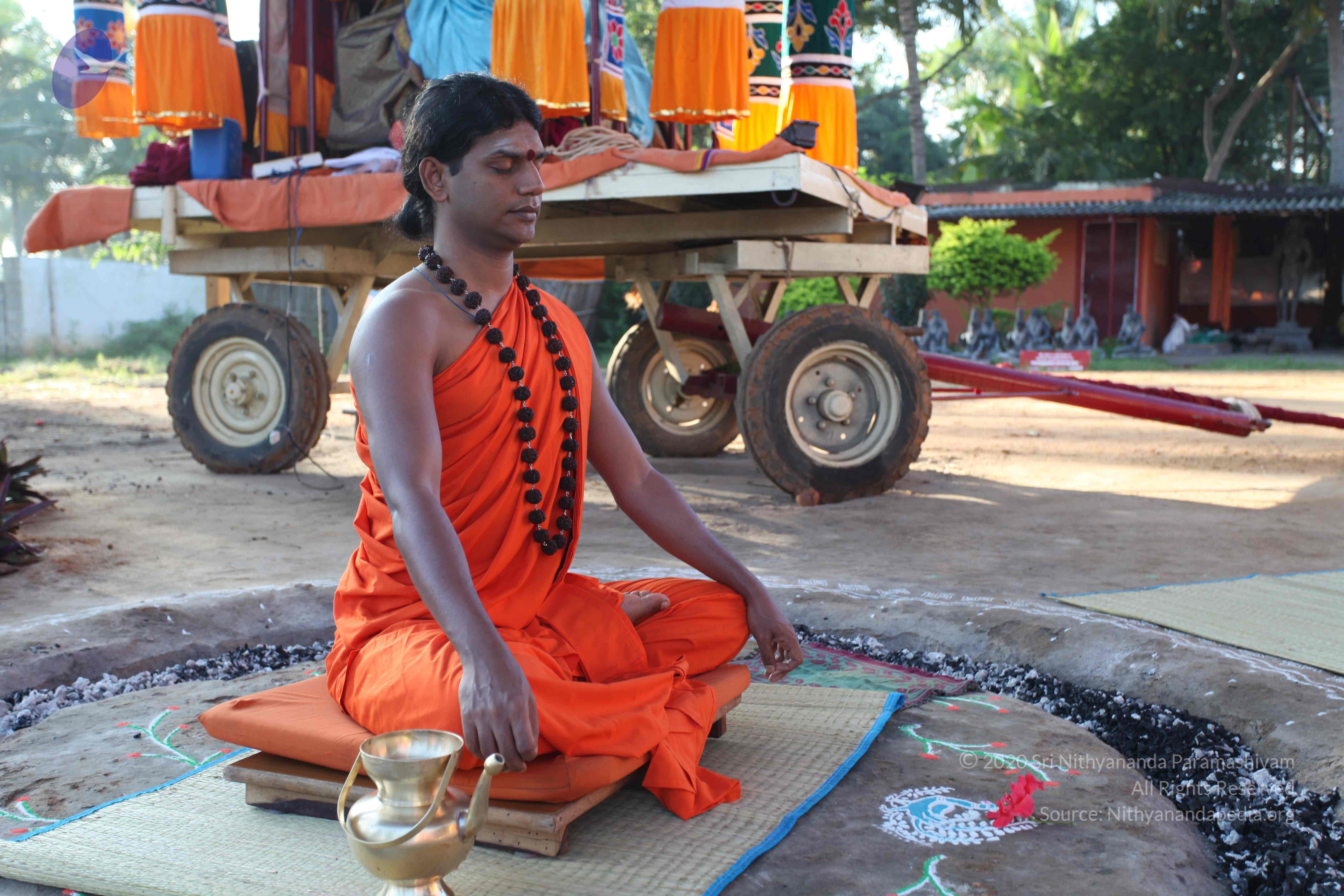 20101119_Photo_1032_IMG_8815_CMP_WM