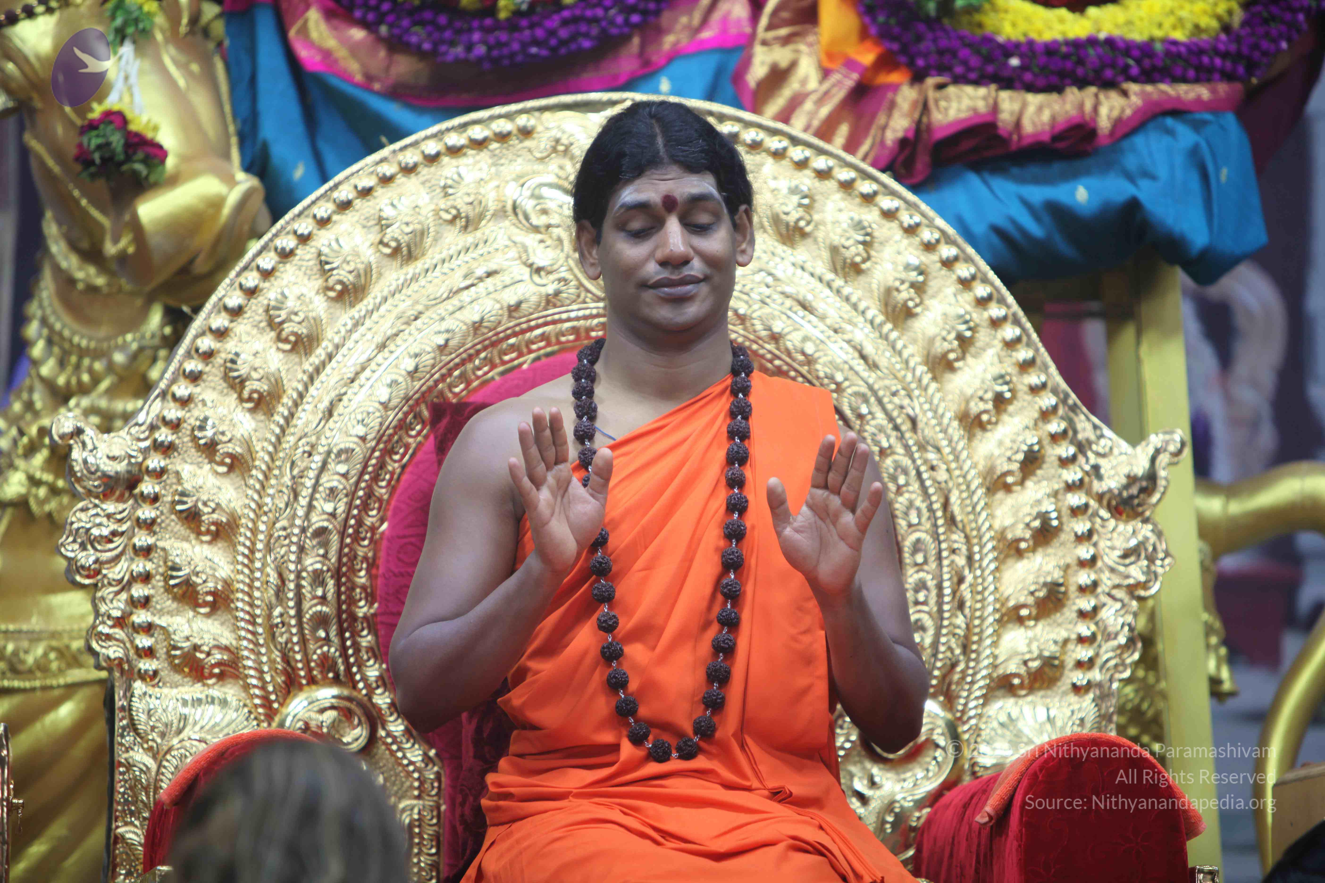 20101119_Photo_1036_IMG_8963_CMP_WM