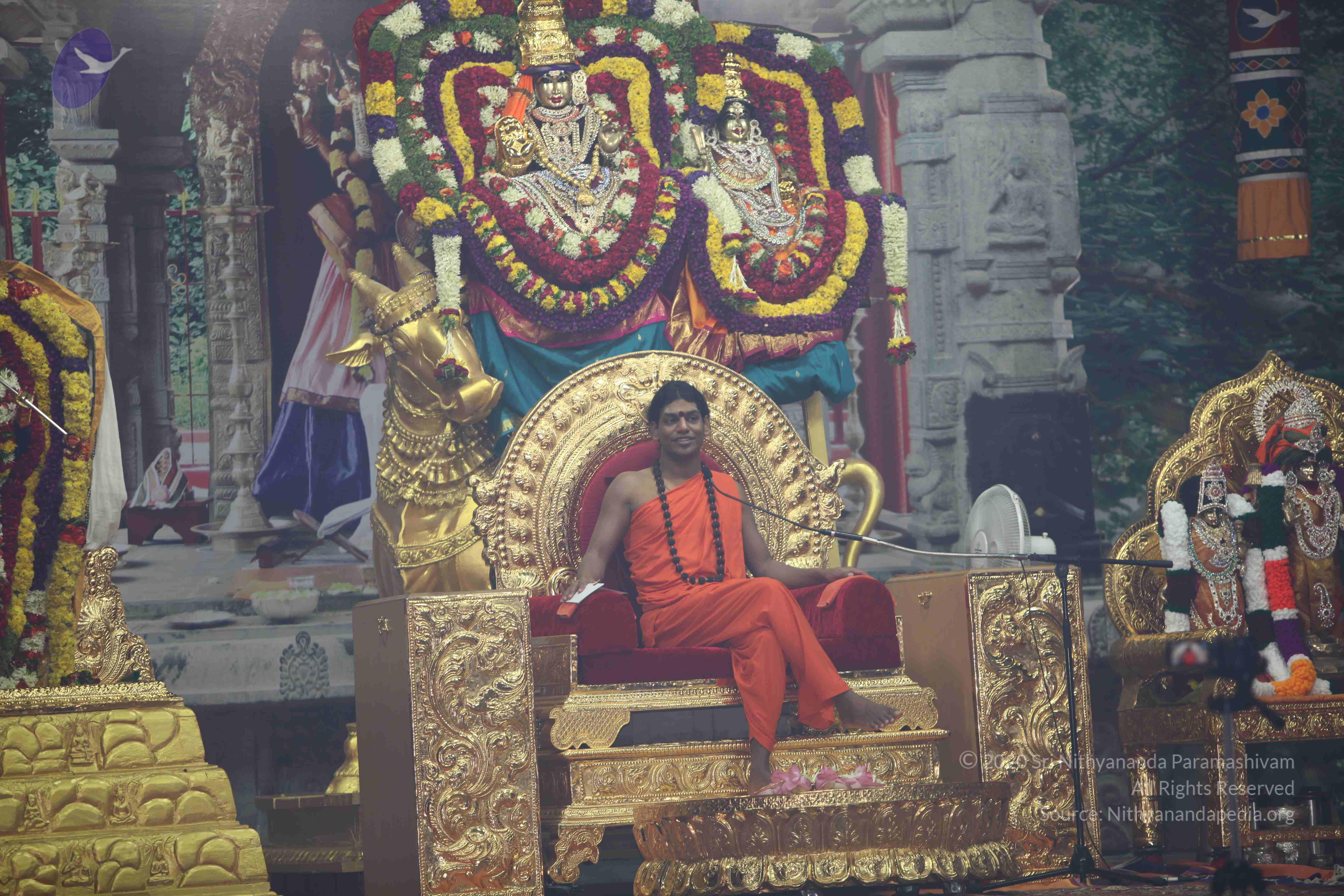 20101119_Photo_1037_IMG_9012_CMP_WM