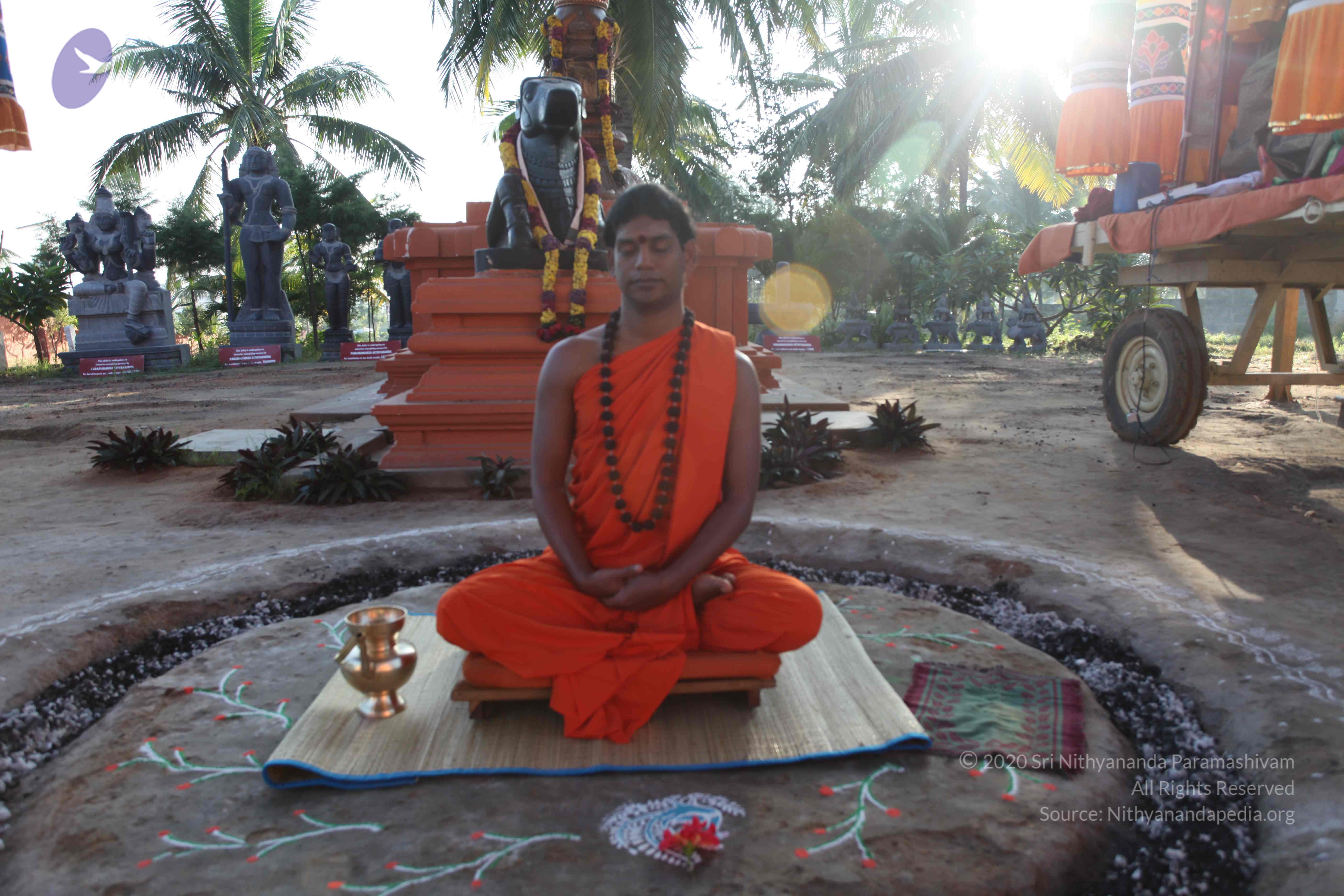 20101119_Photo_1043_IMG_8825_CMP_WM