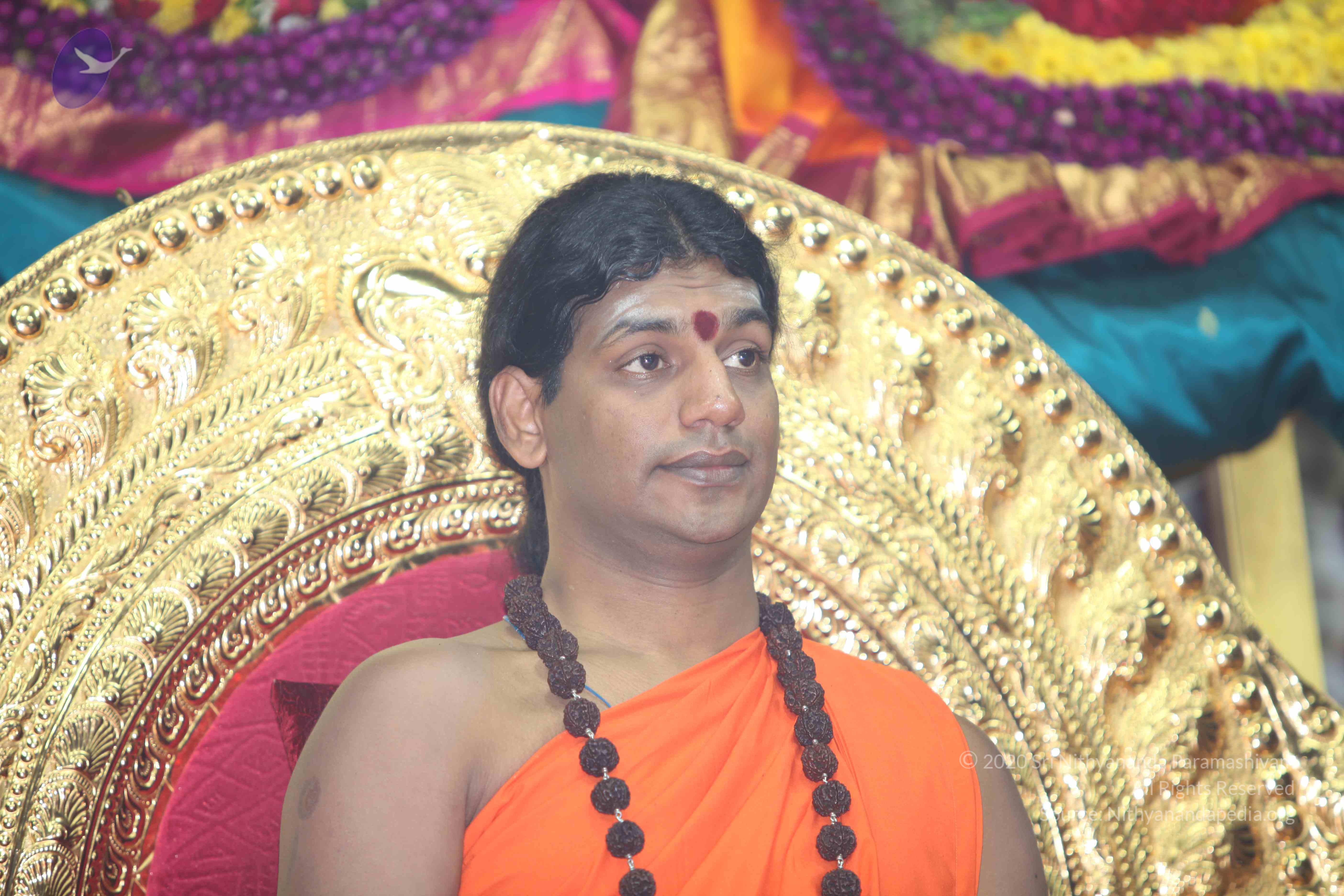 20101119_Photo_1044_IMG_8964_CMP_WM