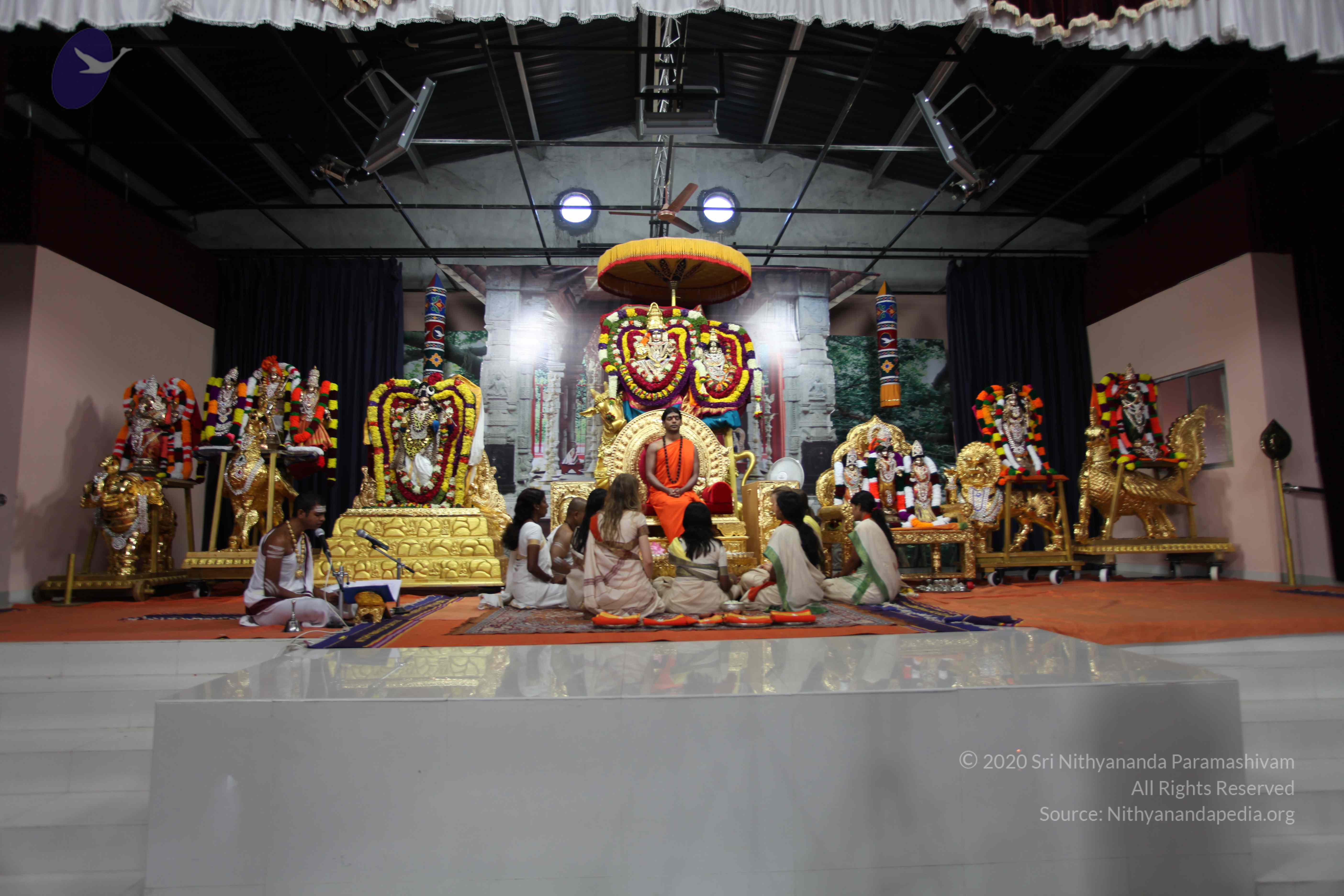 20101119_Photo_1051_IMG_8861_CMP_WM