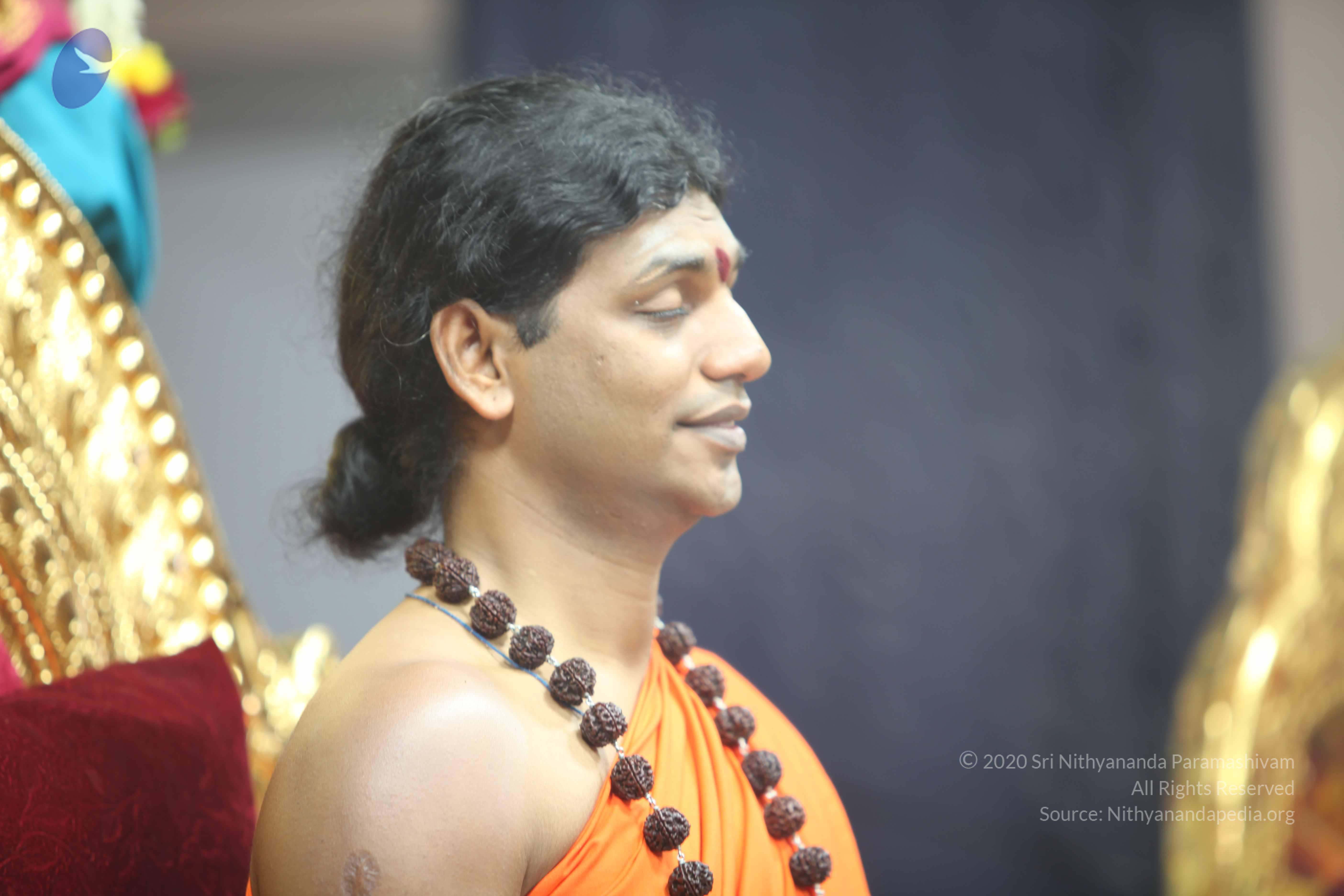 20101119_Photo_1053_IMG_8942_CMP_WM