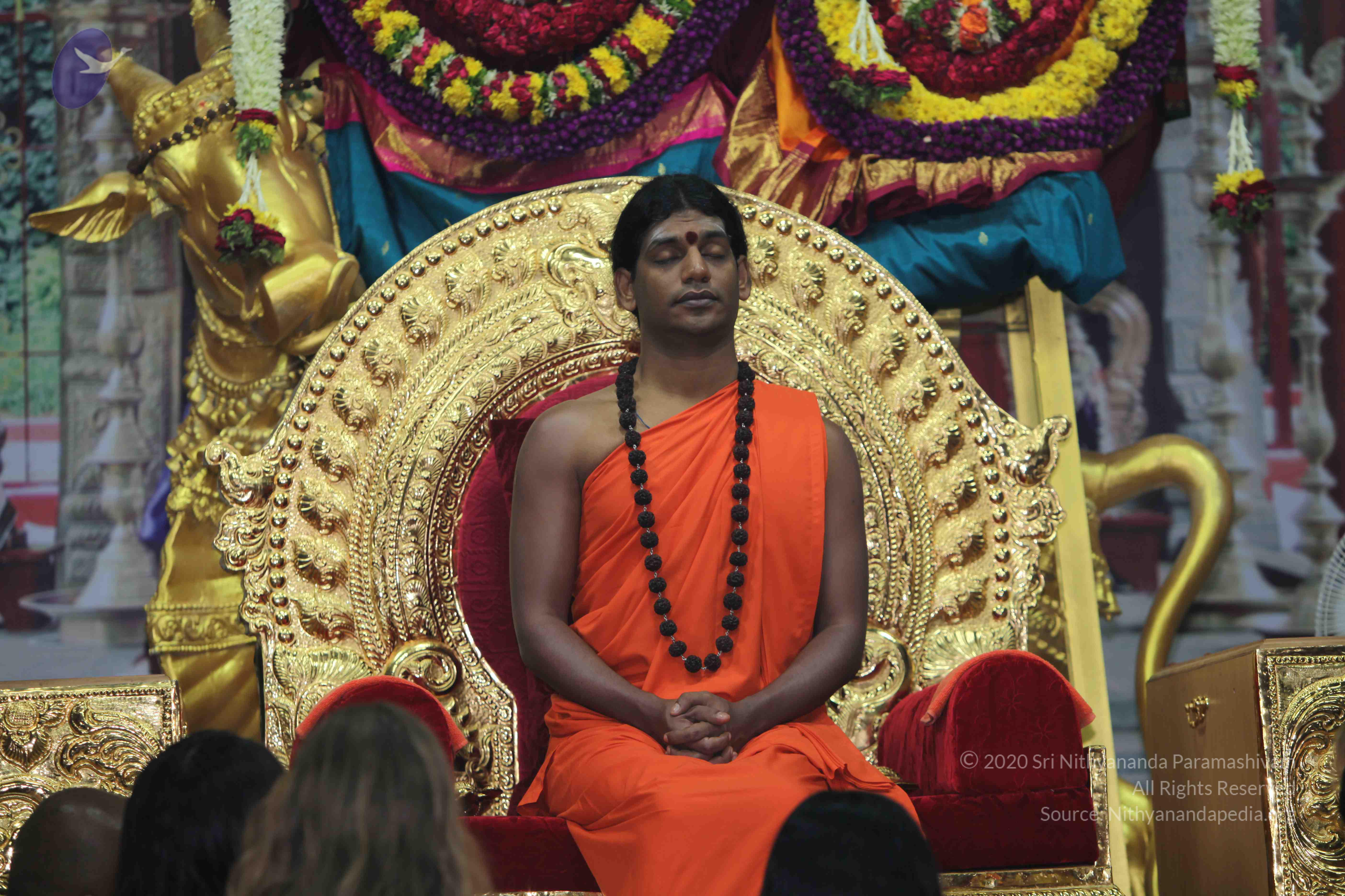 20101119_Photo_1056_IMG_8917_CMP_WM