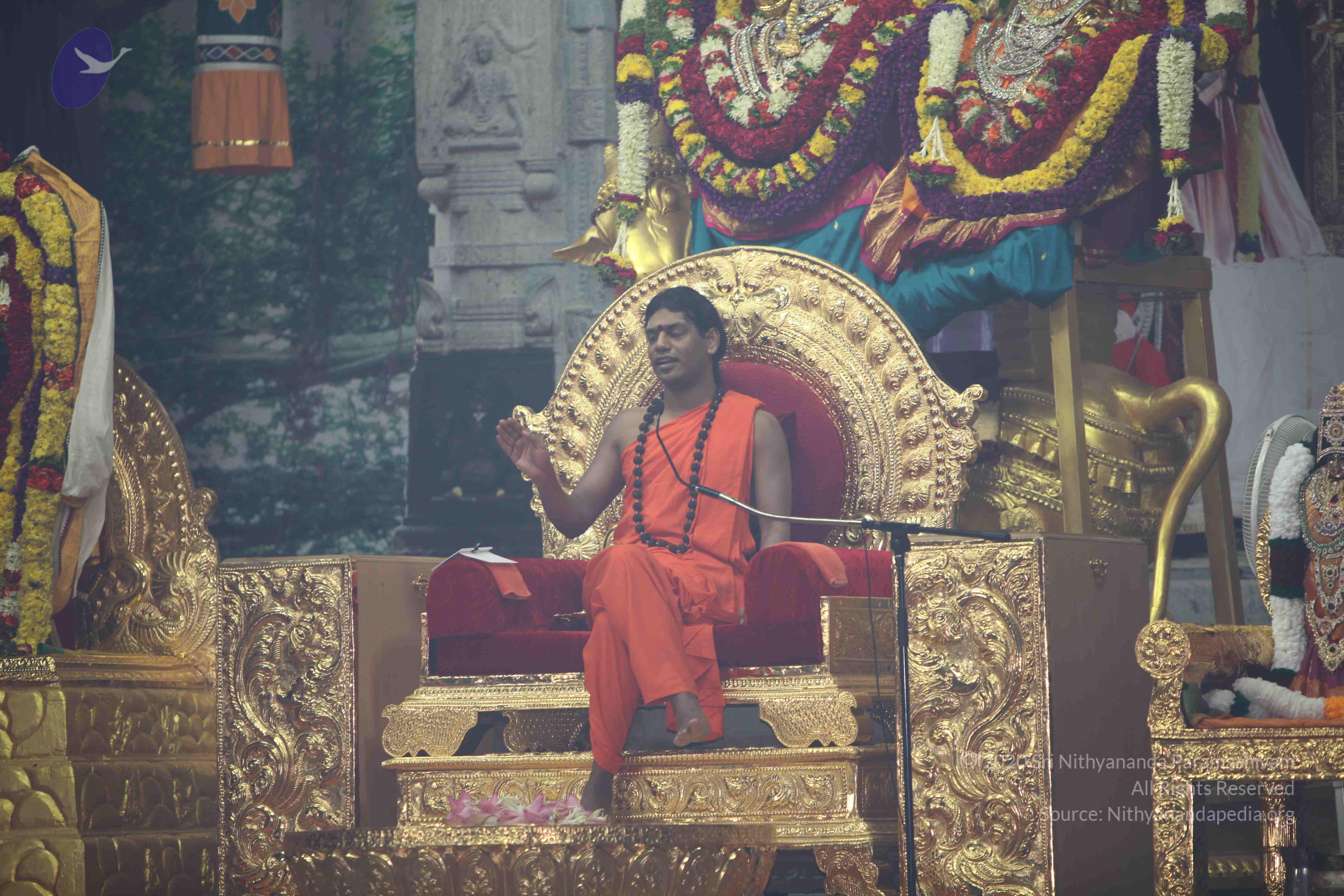 20101119_Photo_1059_IMG_8996_CMP_WM