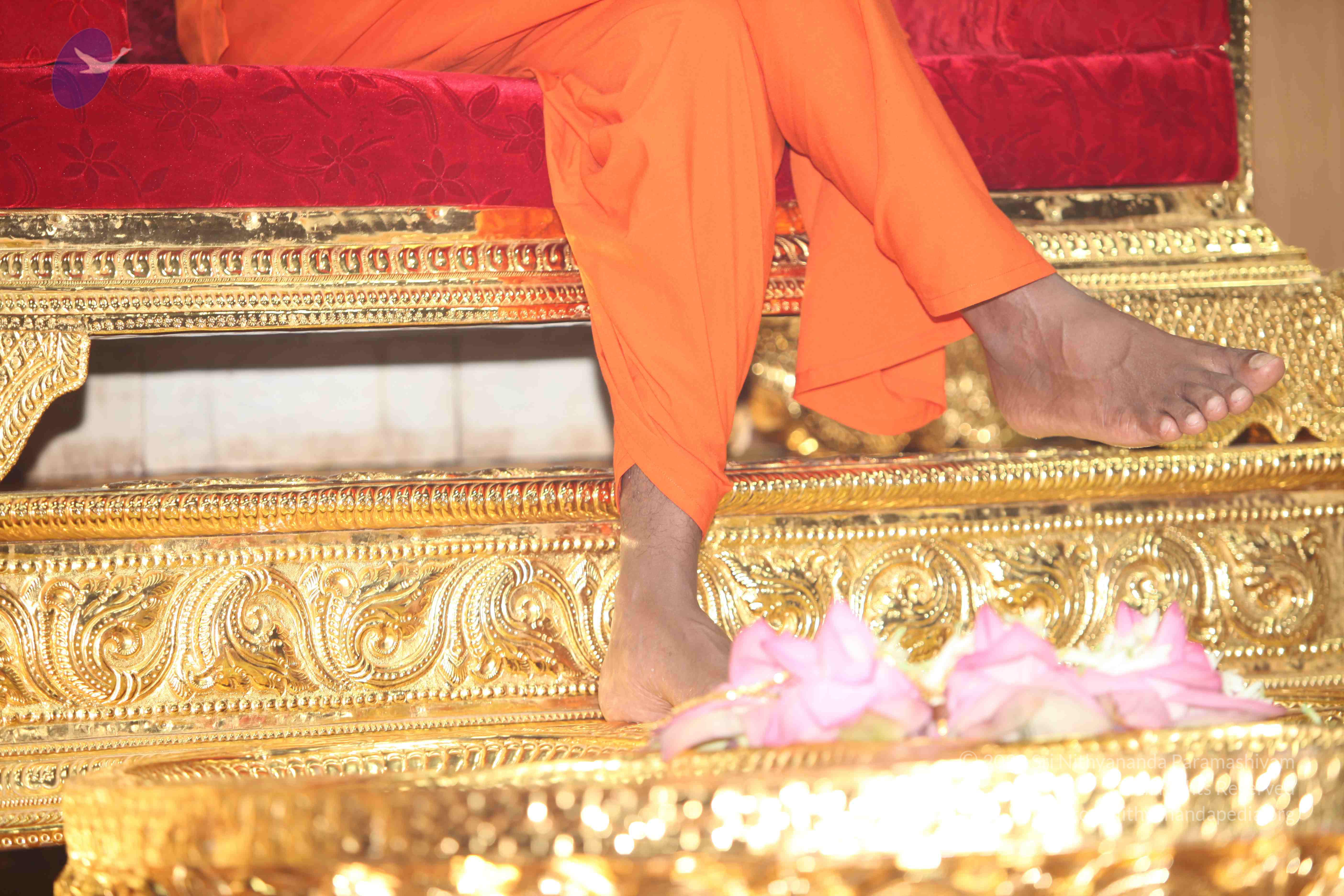 20101119_Photo_1060_IMG_8969_CMP_WM