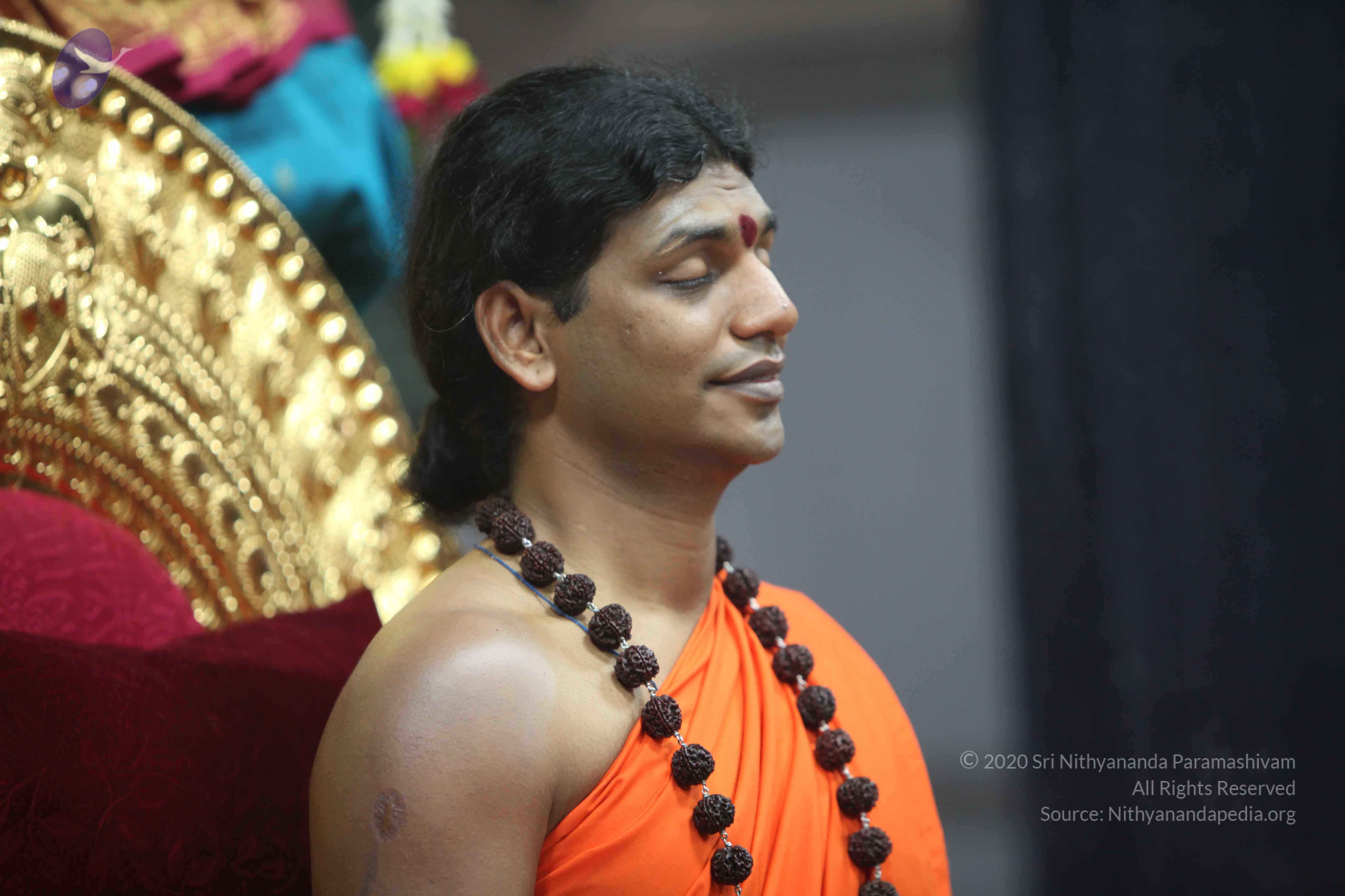 20101119_Photo_1062_IMG_8947_CMP_WM