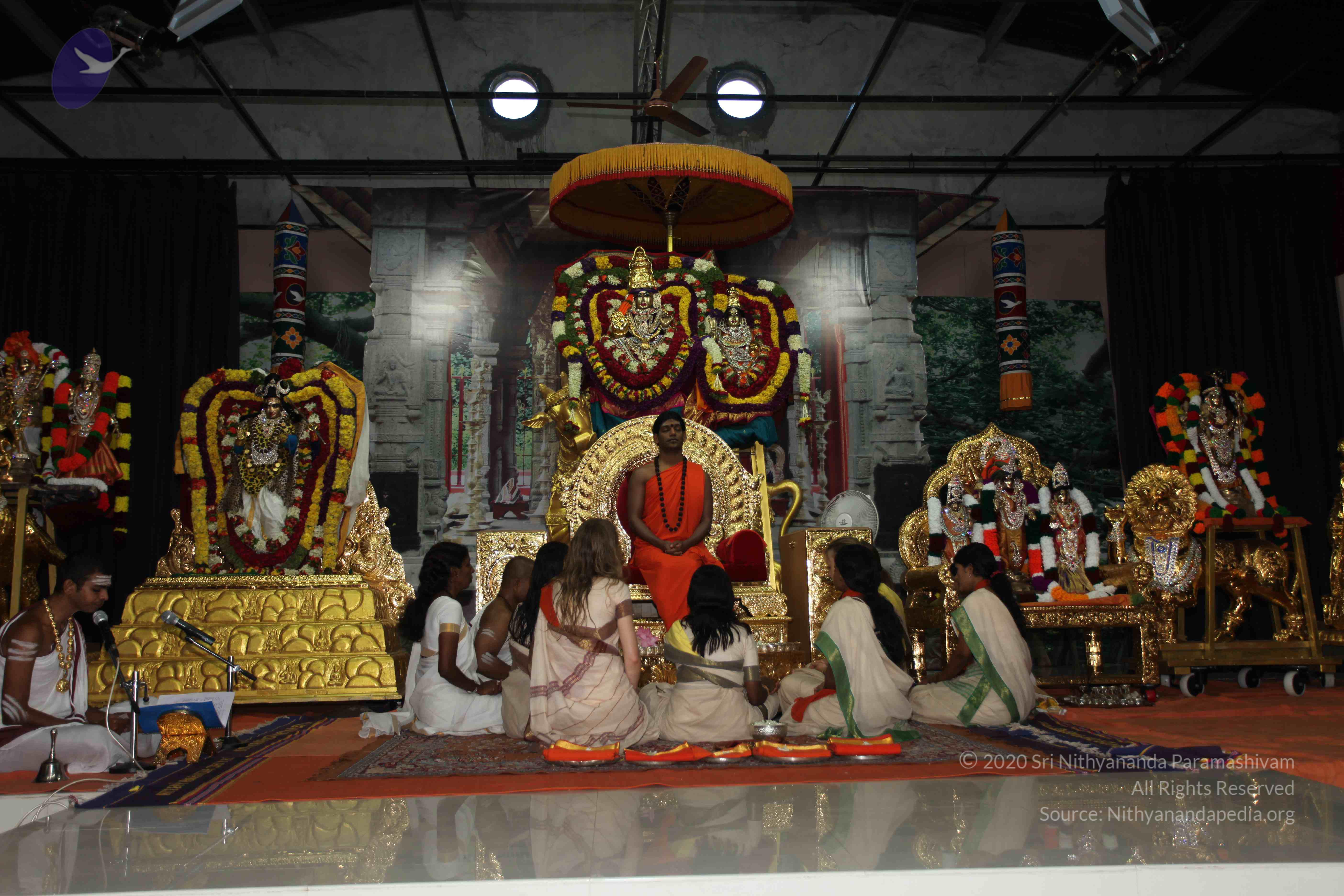 20101119_Photo_1065_IMG_8864_CMP_WM