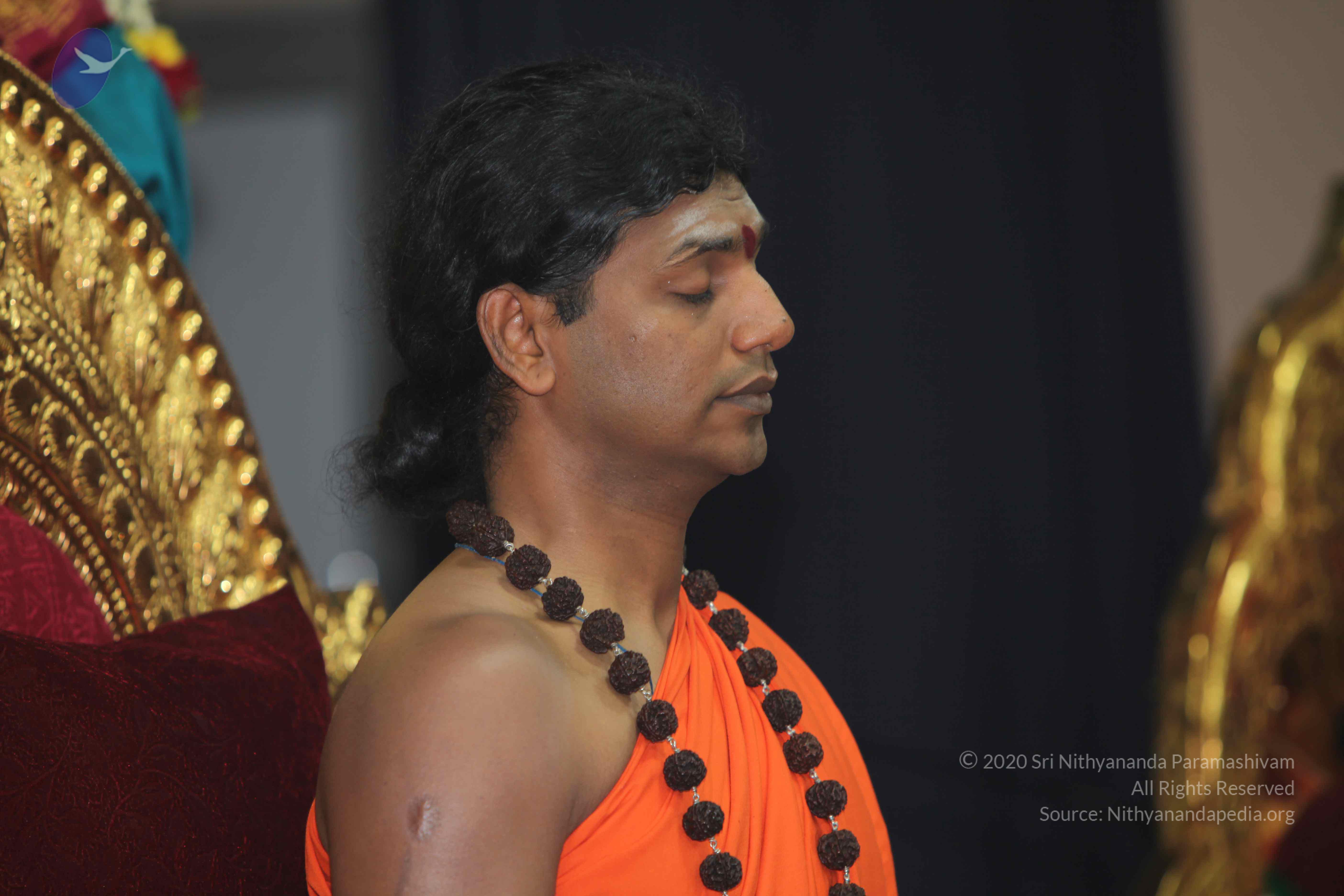 20101119_Photo_1066_IMG_8925_CMP_WM