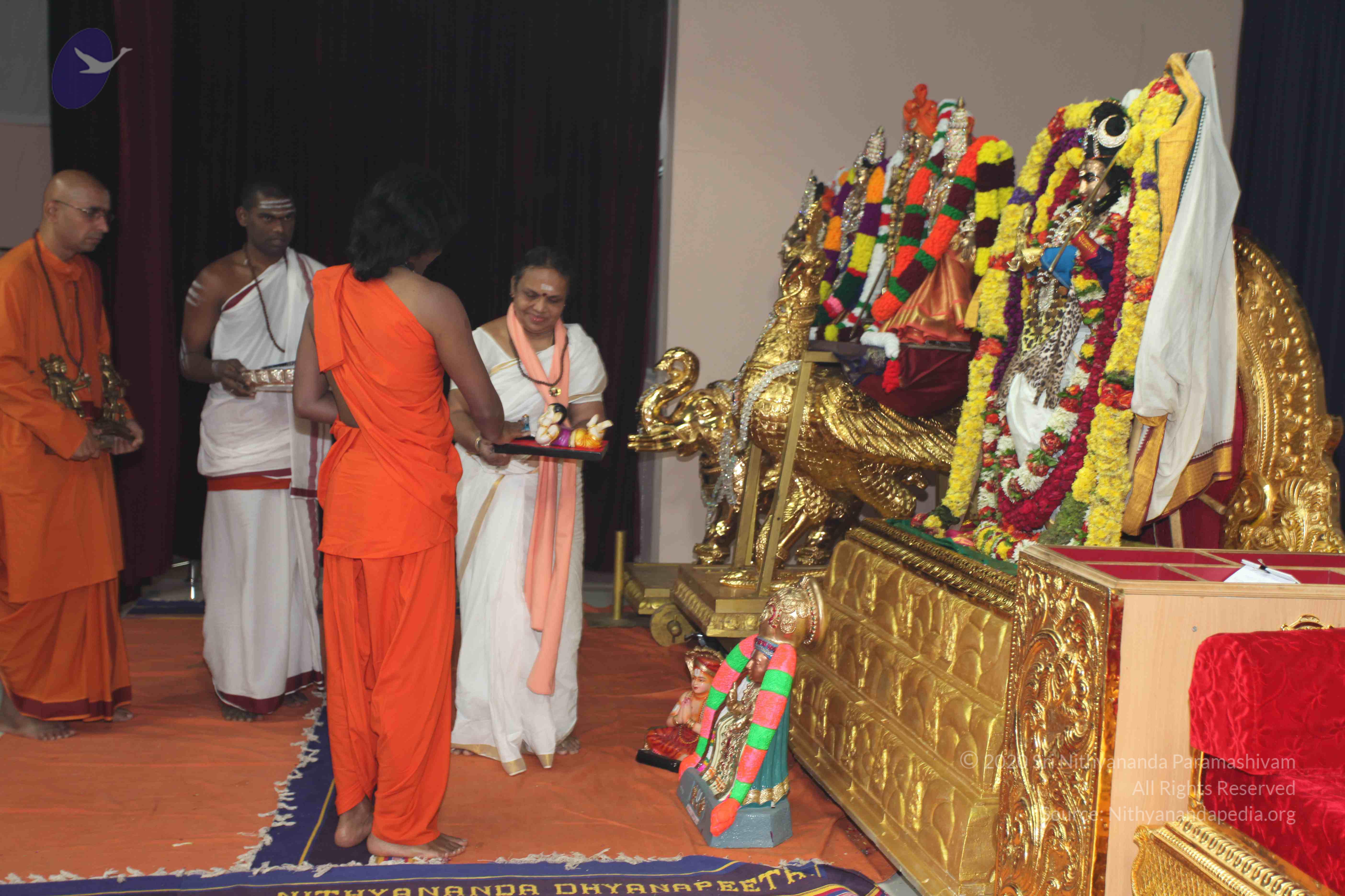 20101119_Photo_1071_IMG_9036_CMP_WM