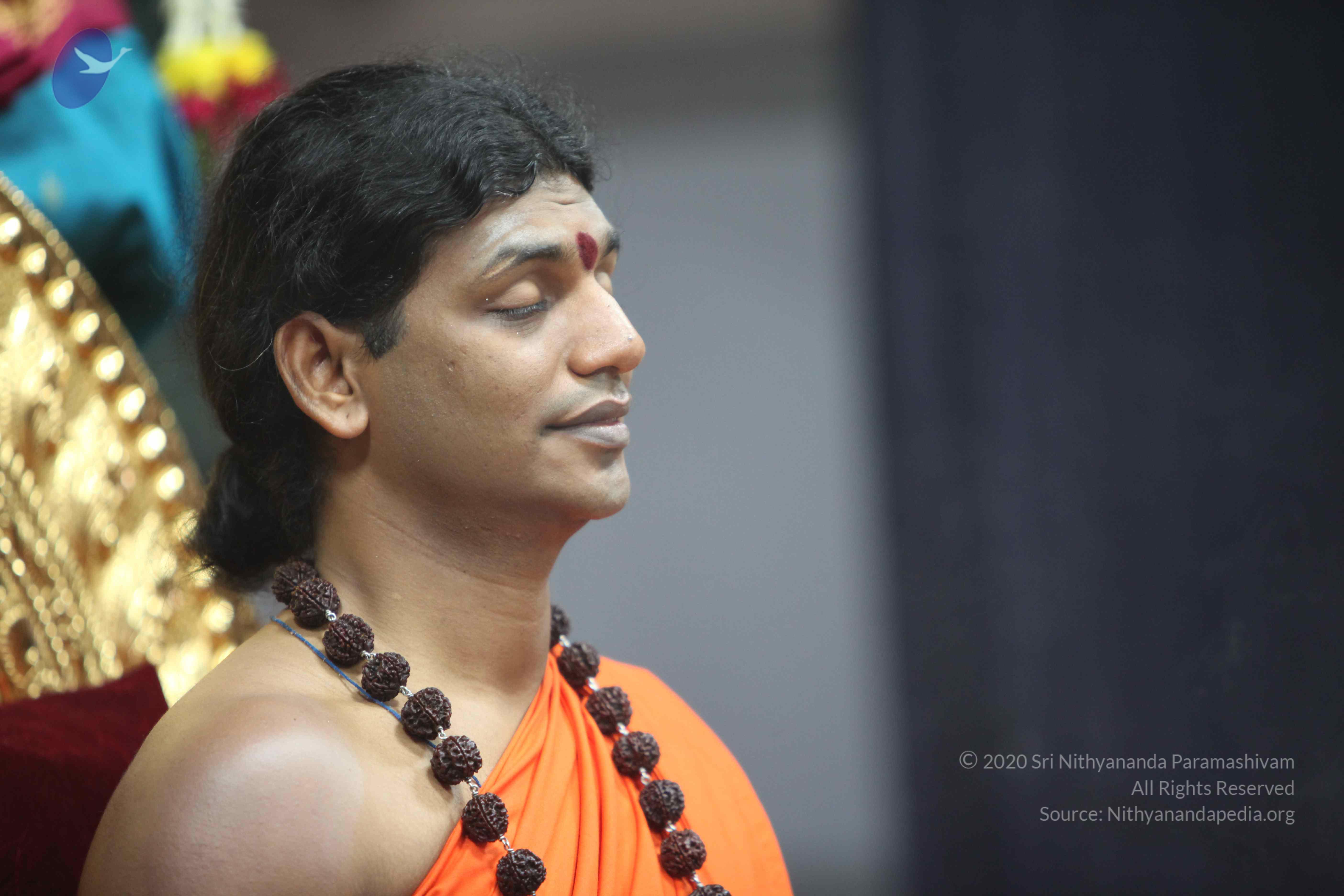 20101119_Photo_1073_IMG_8948 - Copy_CMP_WM