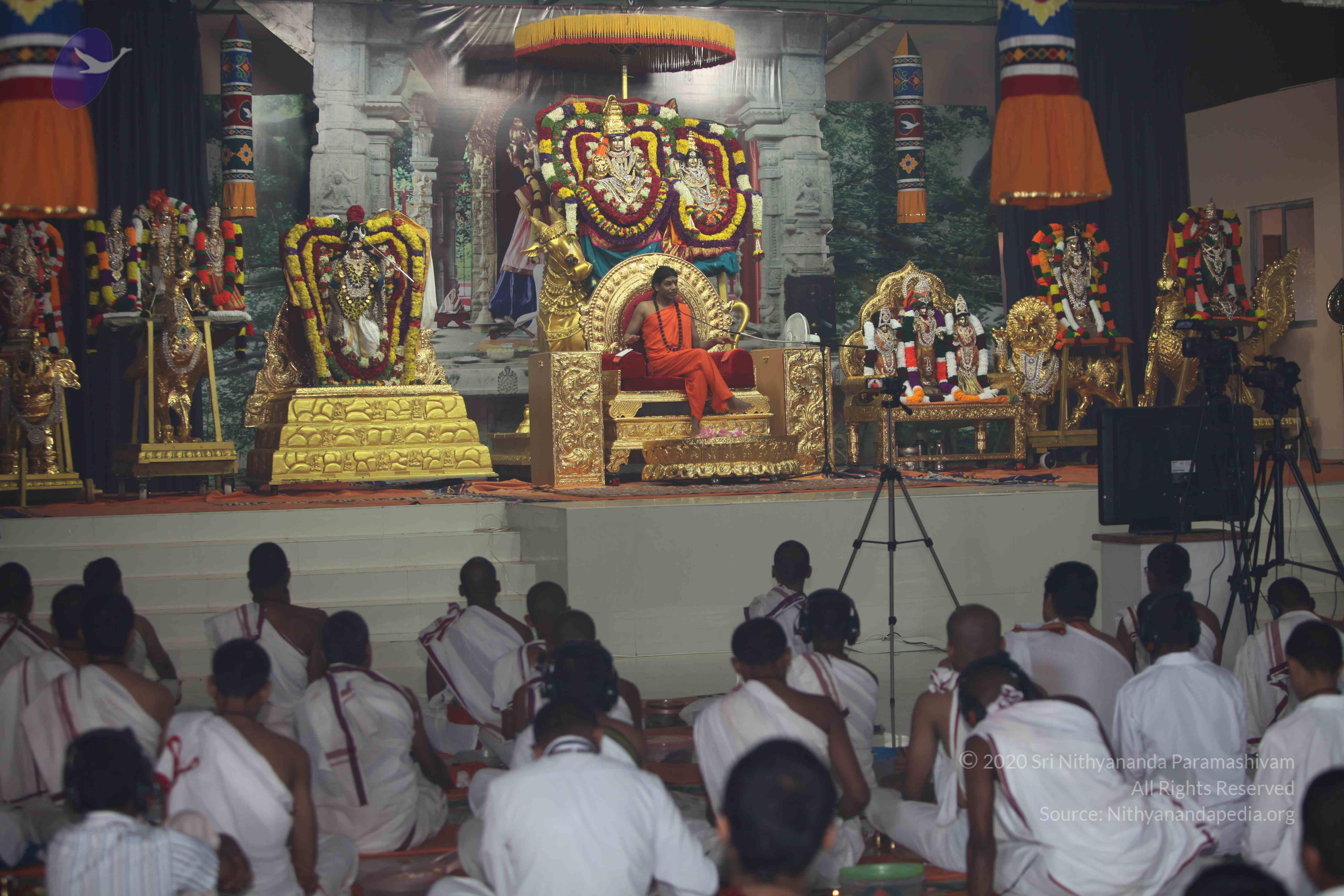 20101119_Photo_1077_IMG_9010_CMP_WM