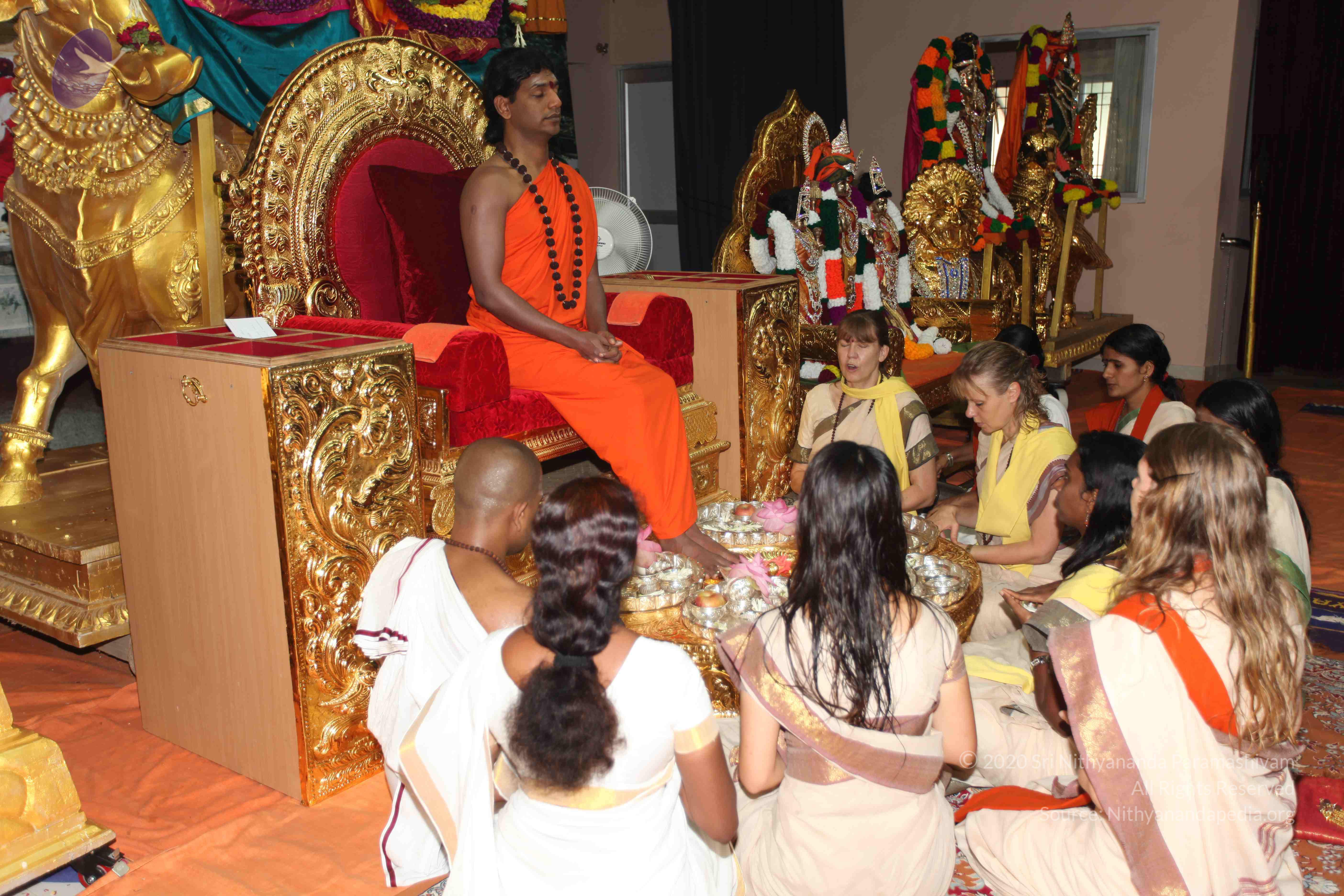 20101119_Photo_1078_IMG_8869_CMP_WM