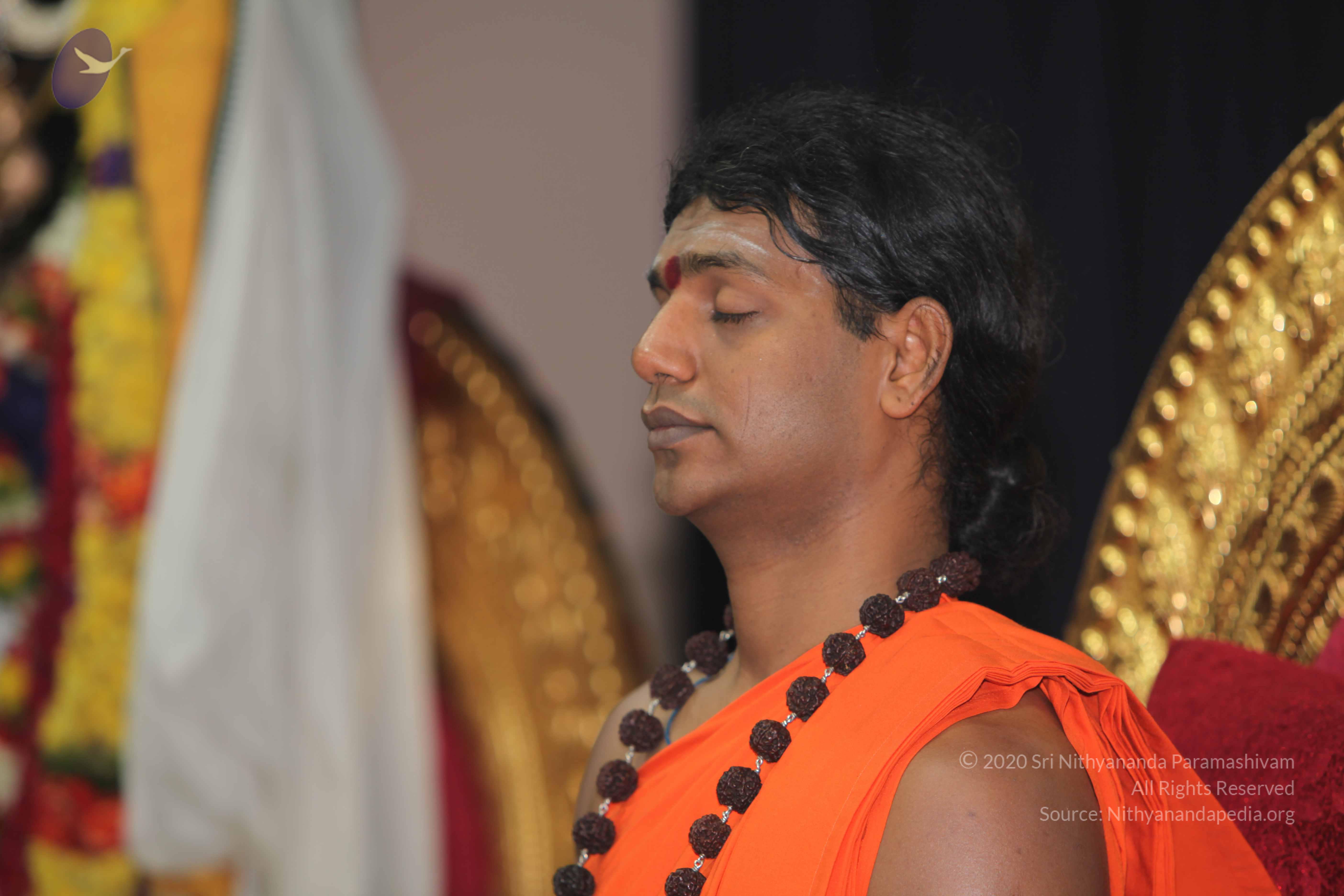 20101119_Photo_1087_IMG_8884_CMP_WM