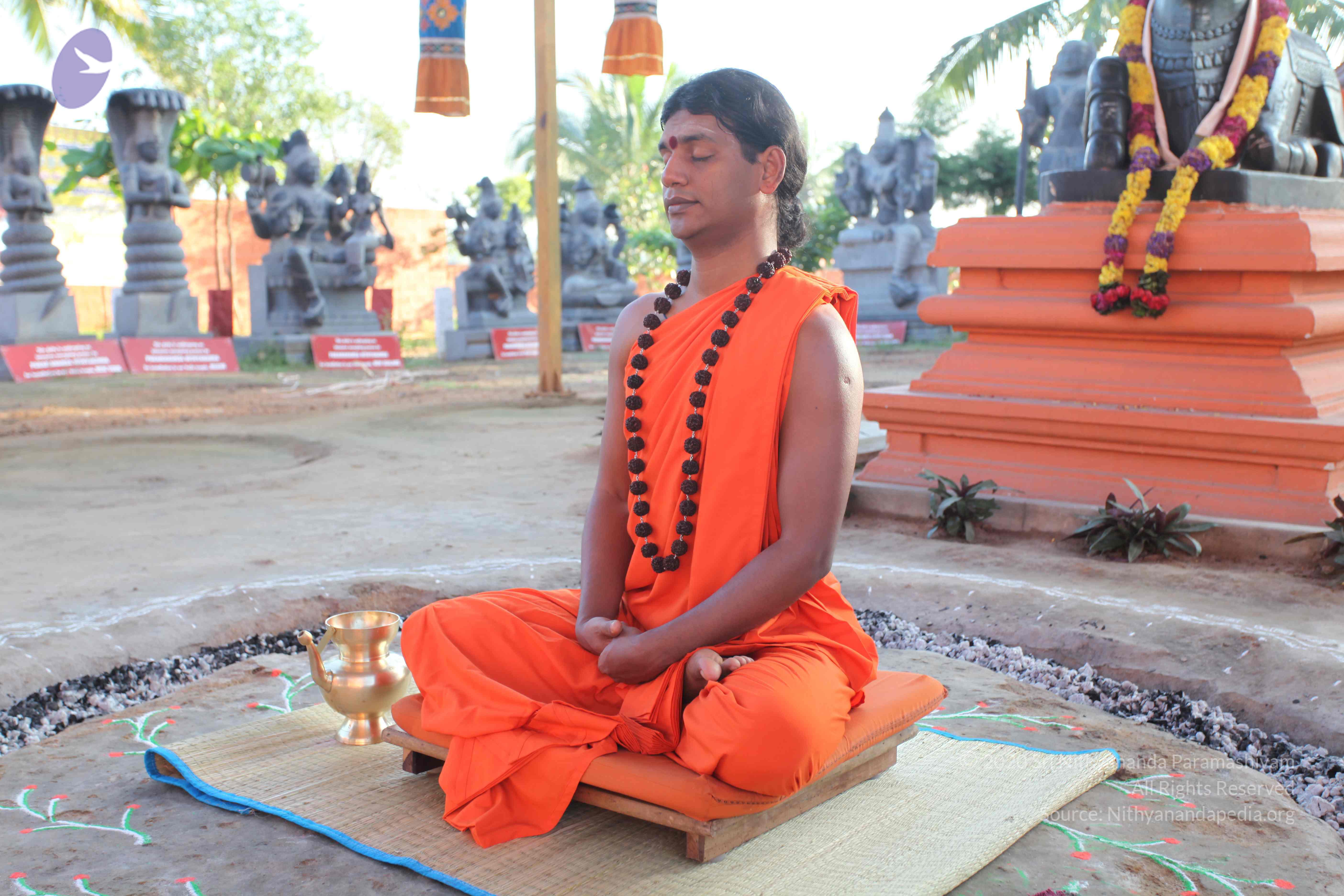 20101119_Photo_1088_IMG_8819_CMP_WM