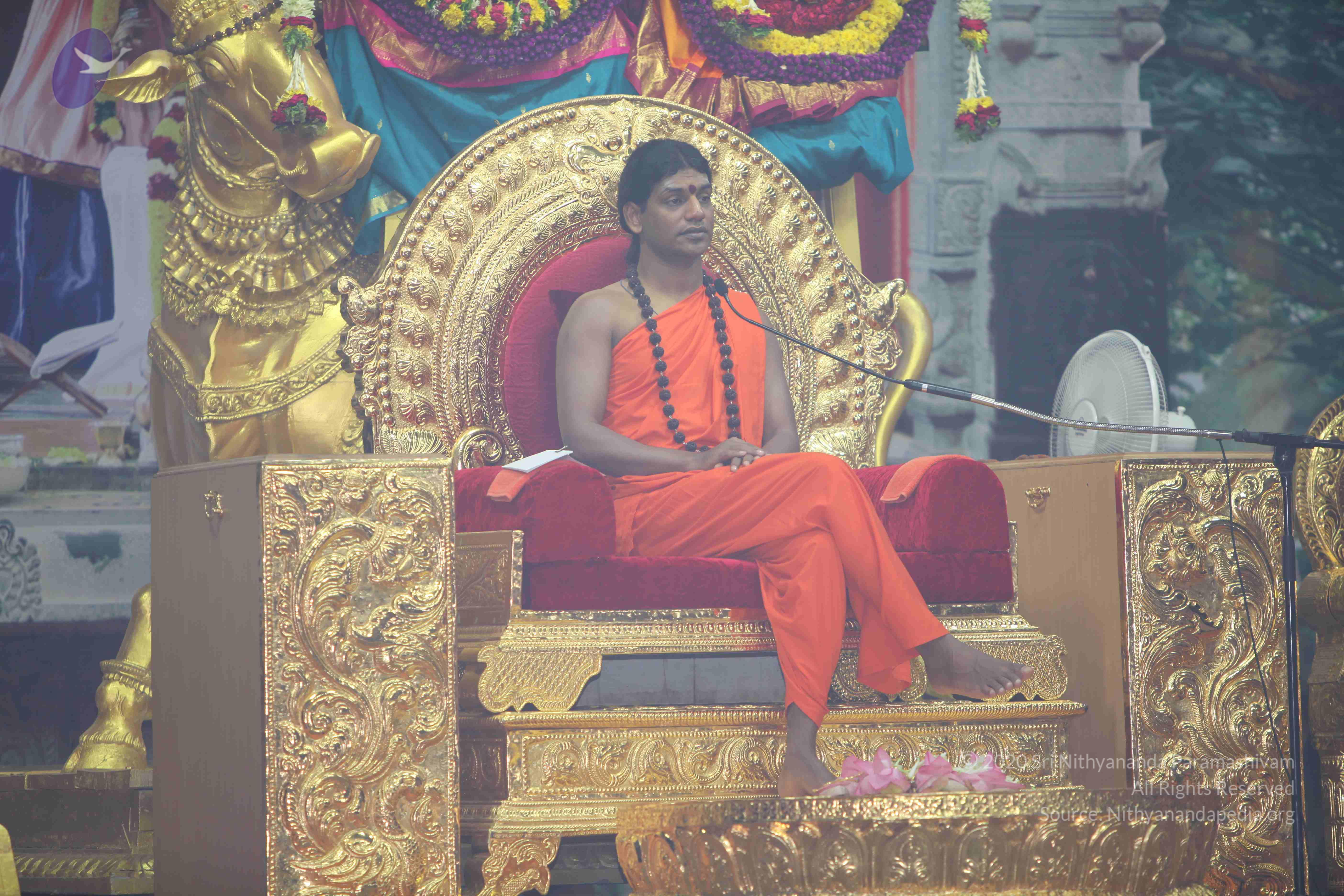 20101119_Photo_1091_IMG_8973_CMP_WM