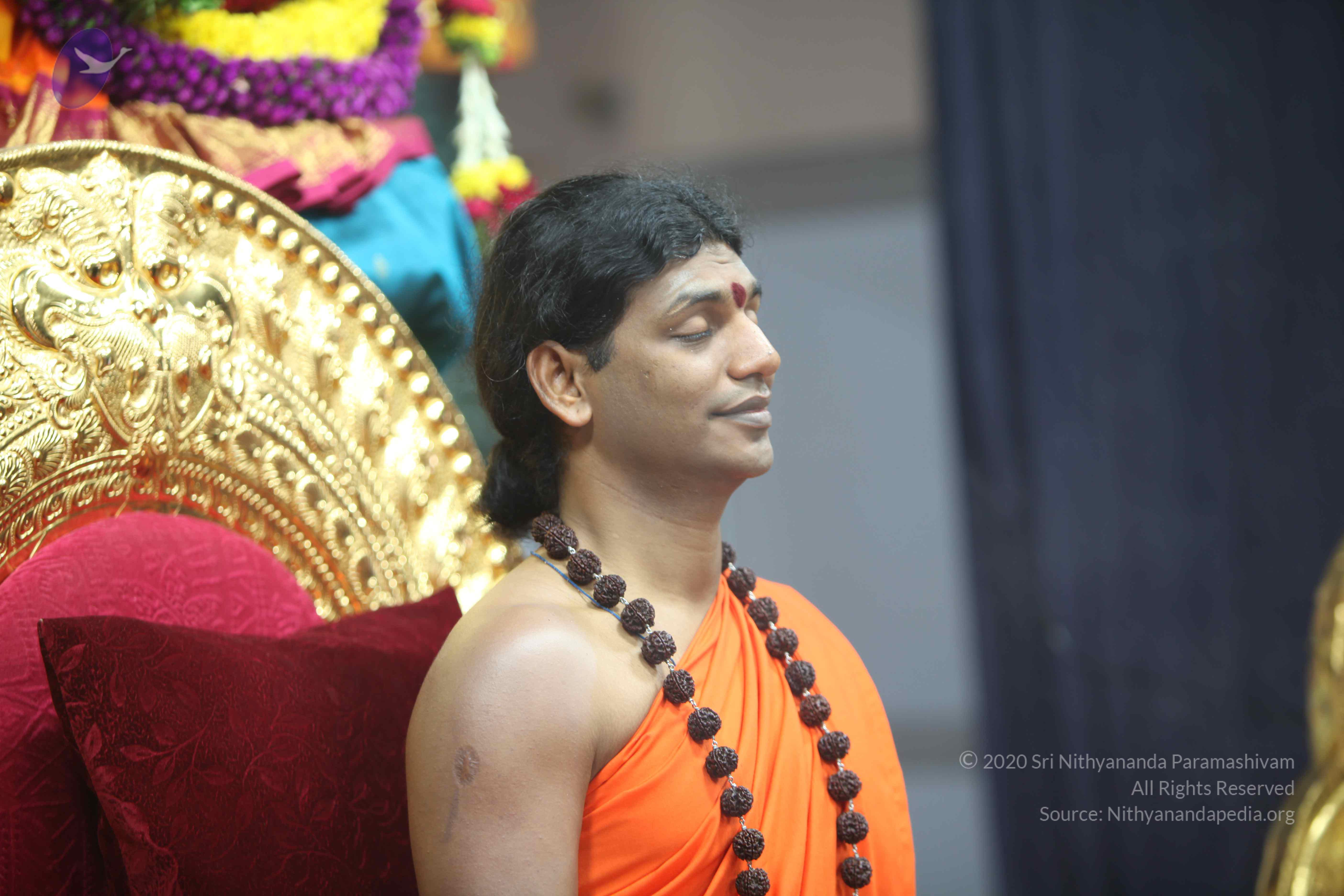 20101119_Photo_1092_IMG_8944_CMP_WM