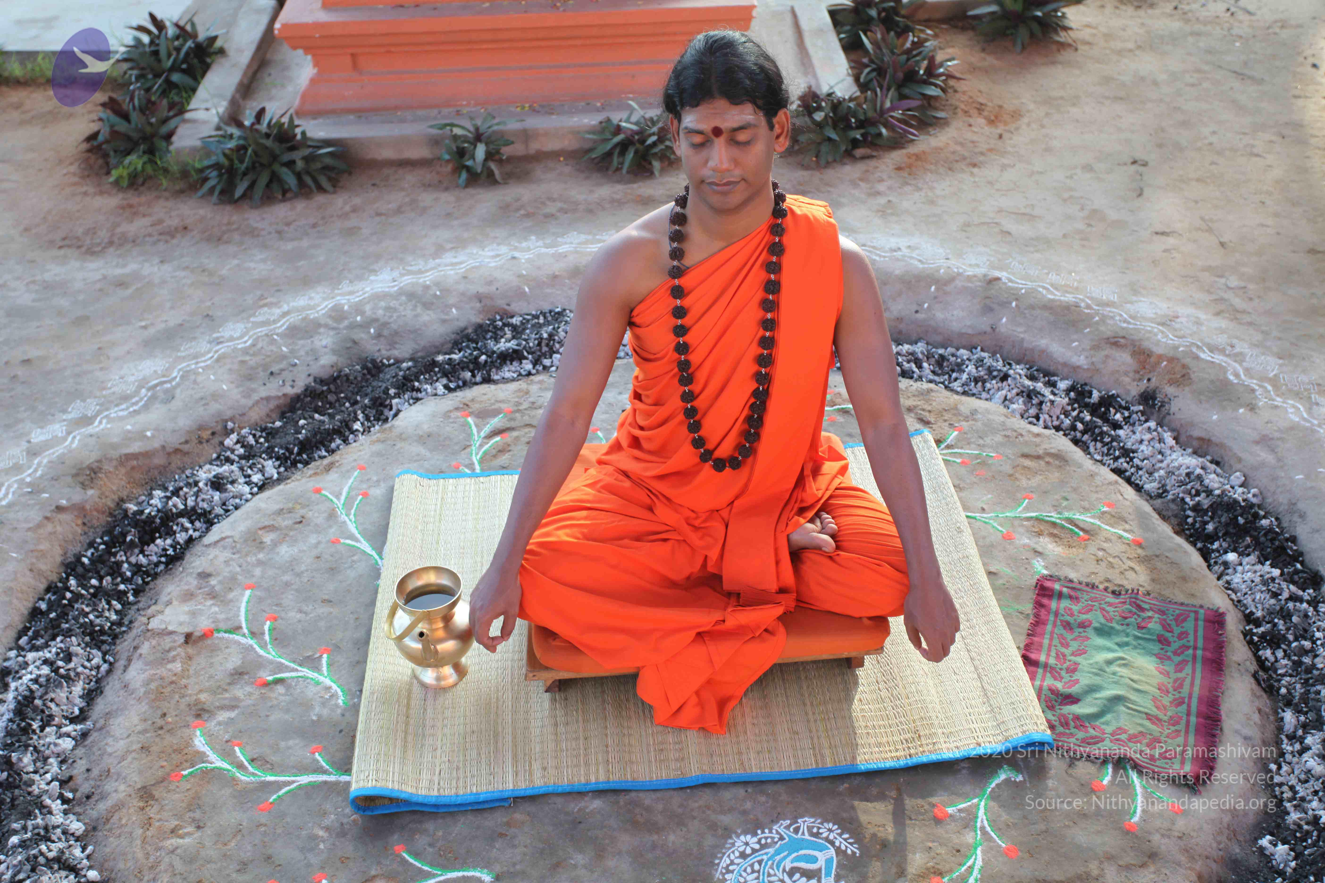 20101119_Photo_1094_IMG_8850_CMP_WM