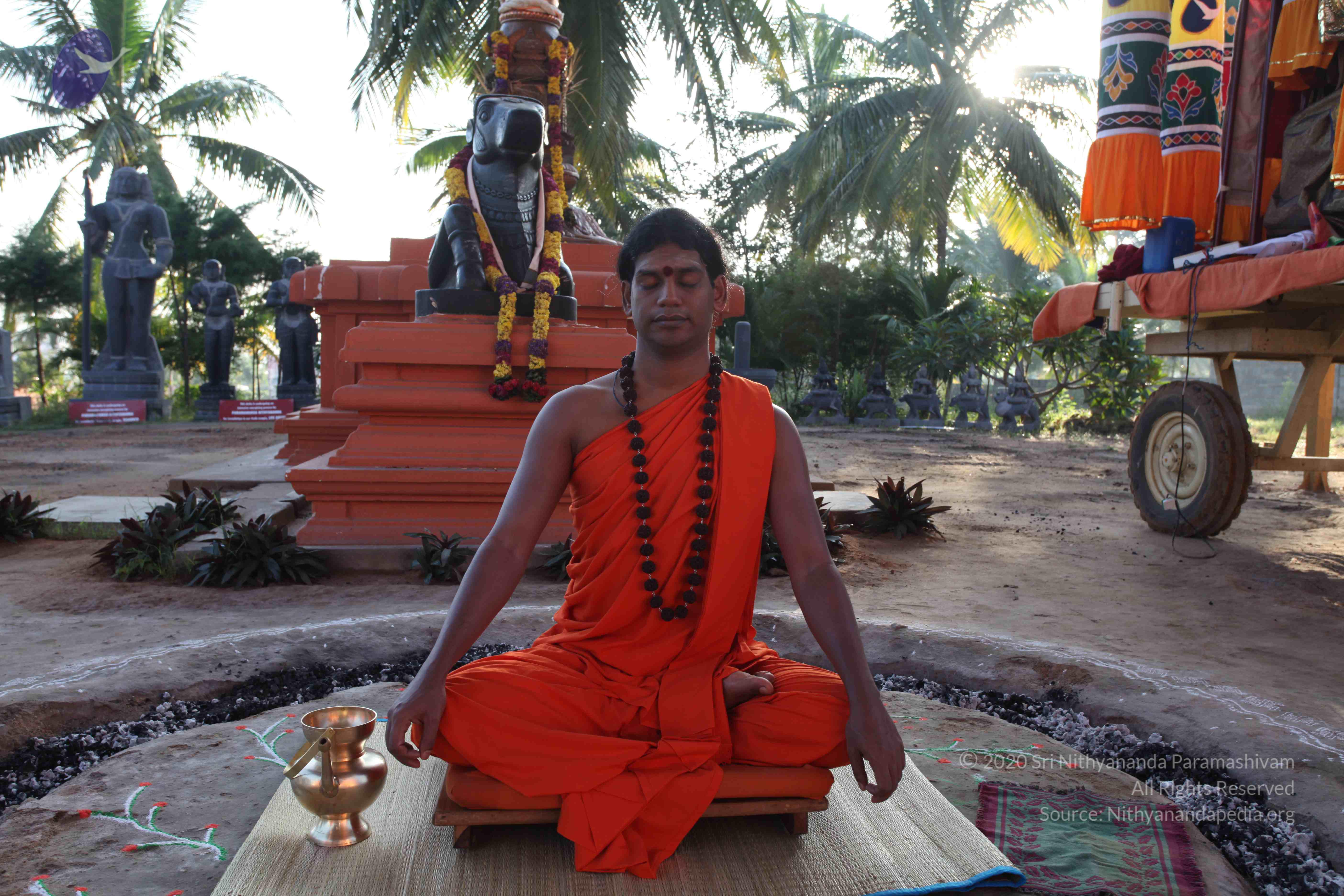 20101119_Photo_1096_IMG_8805_CMP_WM