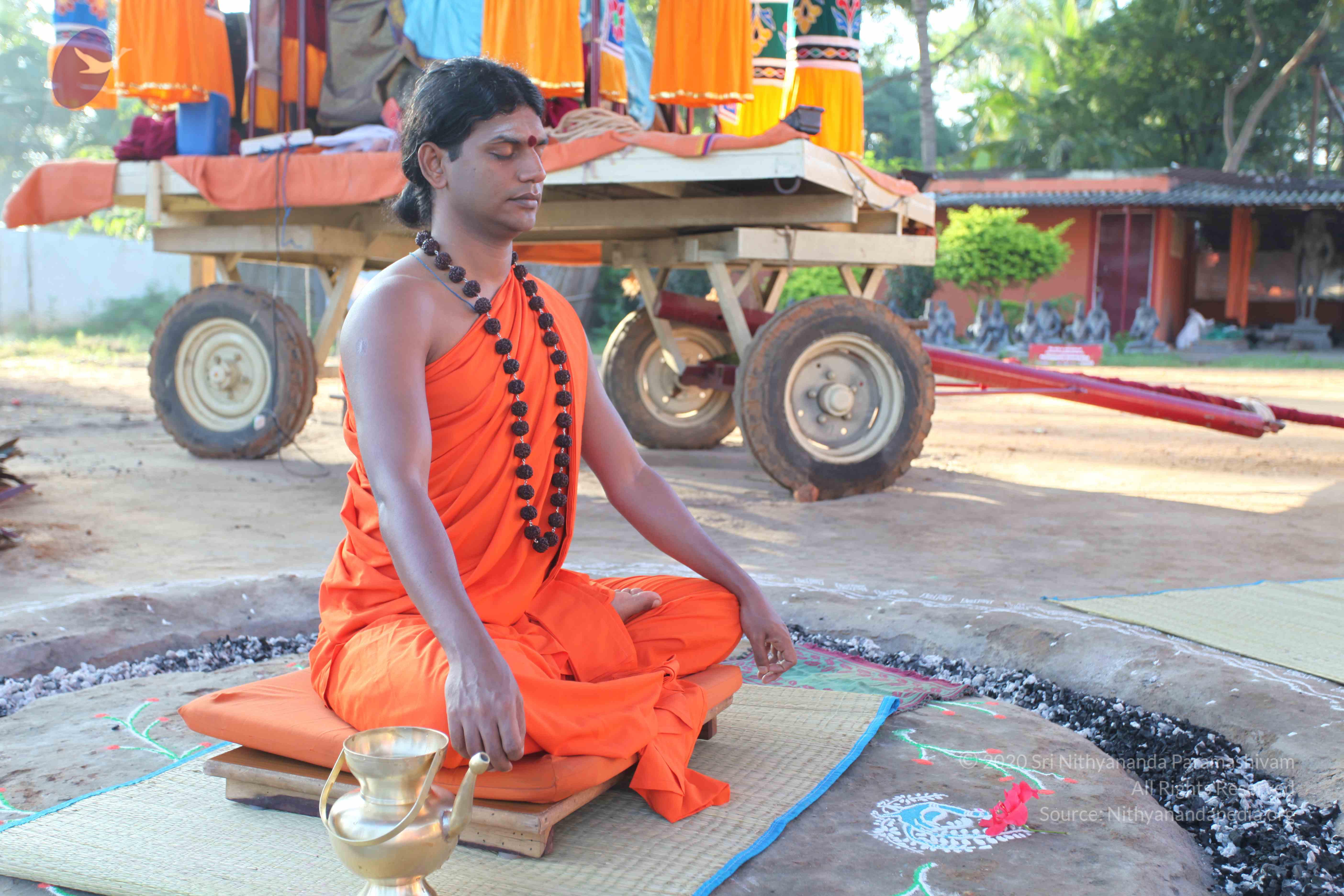 20101119_Photo_1098_IMG_8814_CMP_WM