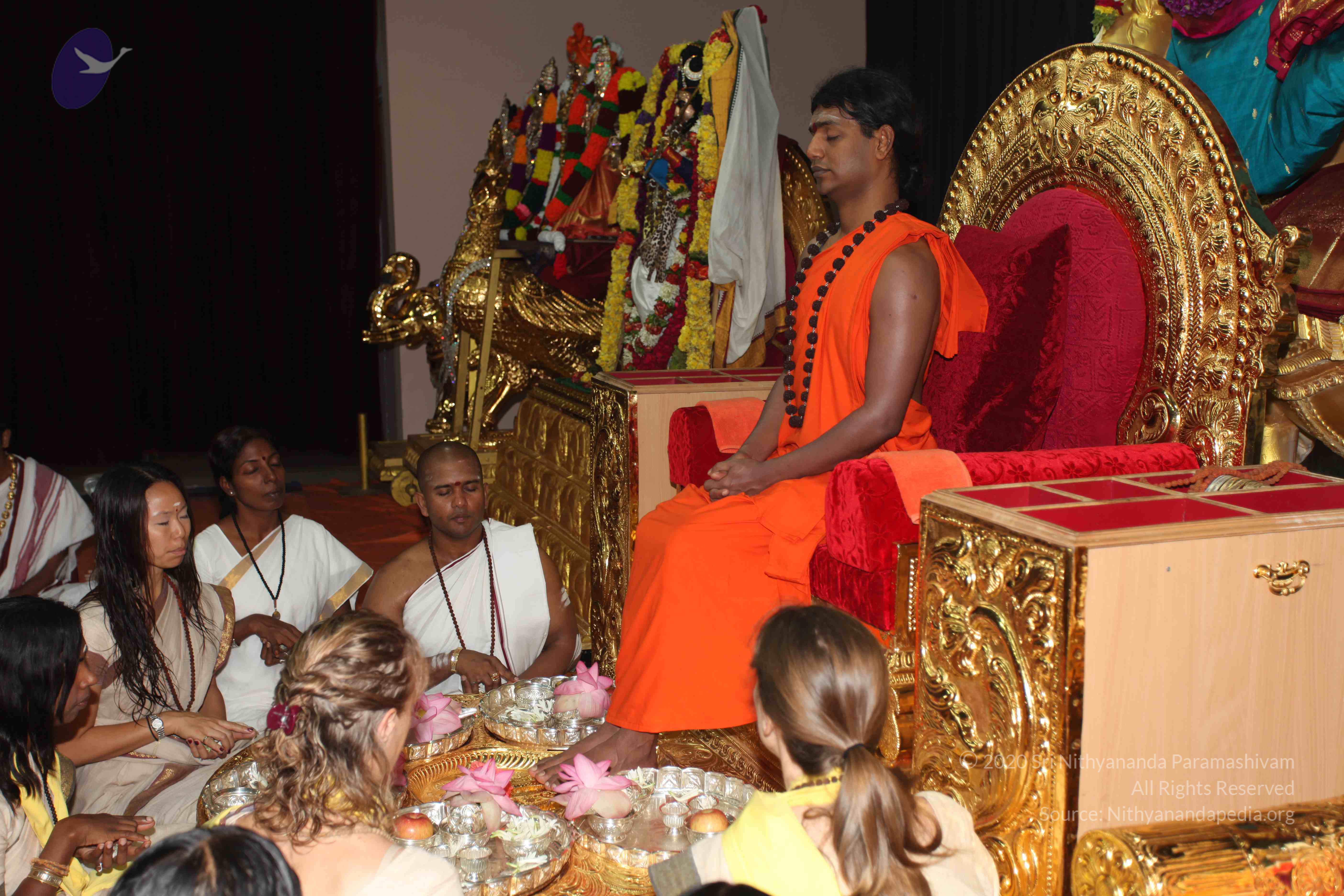 20101119_Photo_1102_IMG_8876_CMP_WM