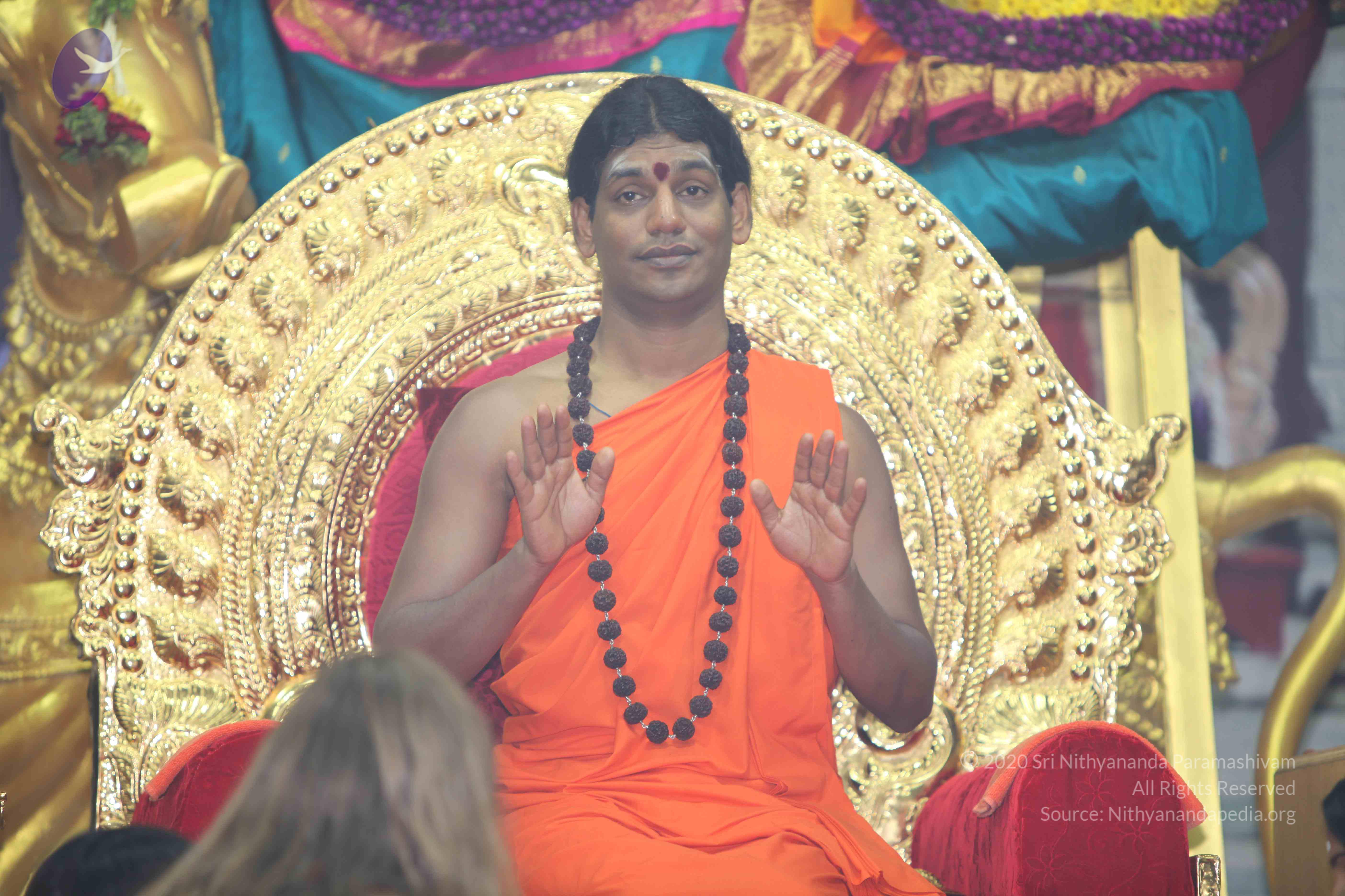 20101119_Photo_1104_IMG_8962_CMP_WM